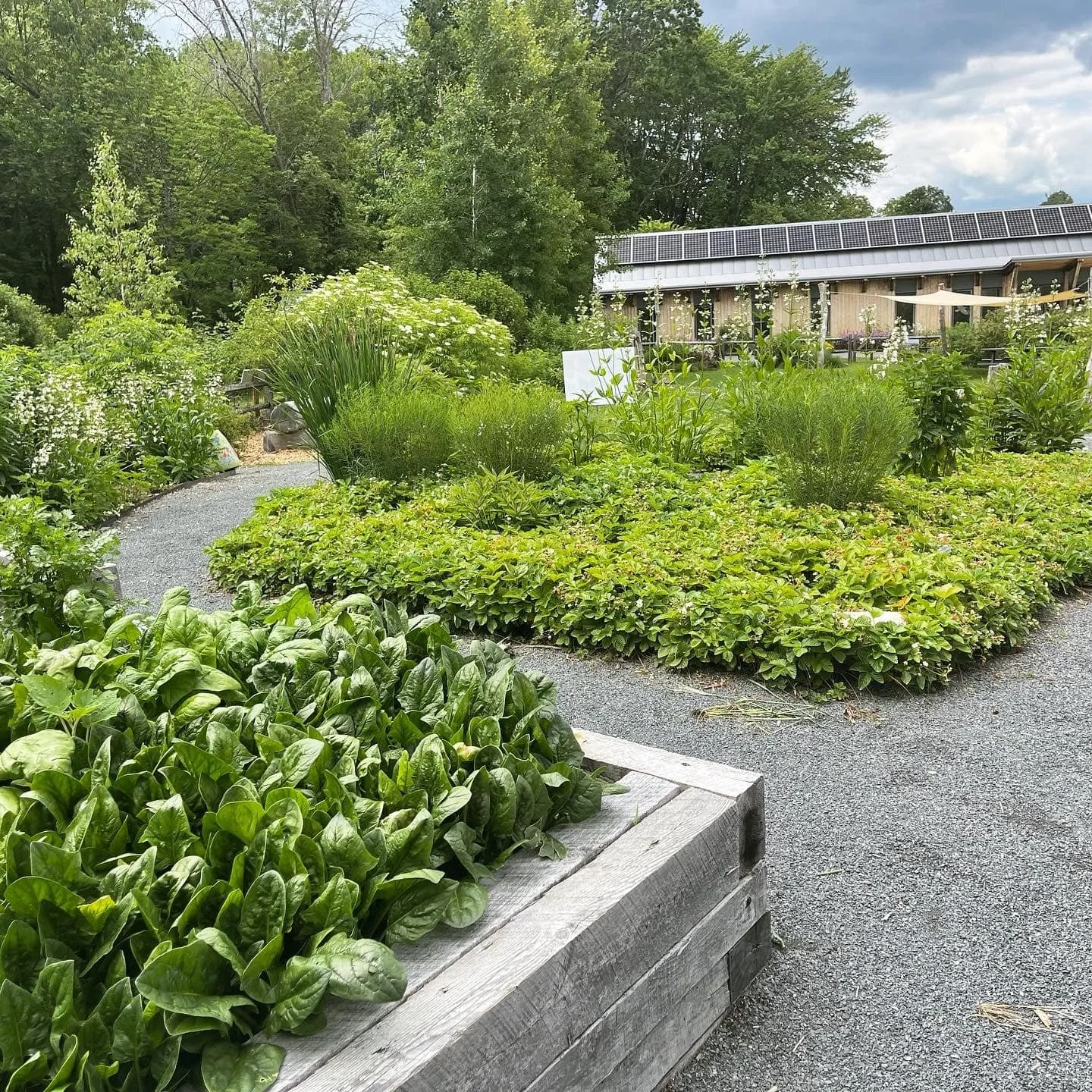 Gardens at The Hitchcock Center