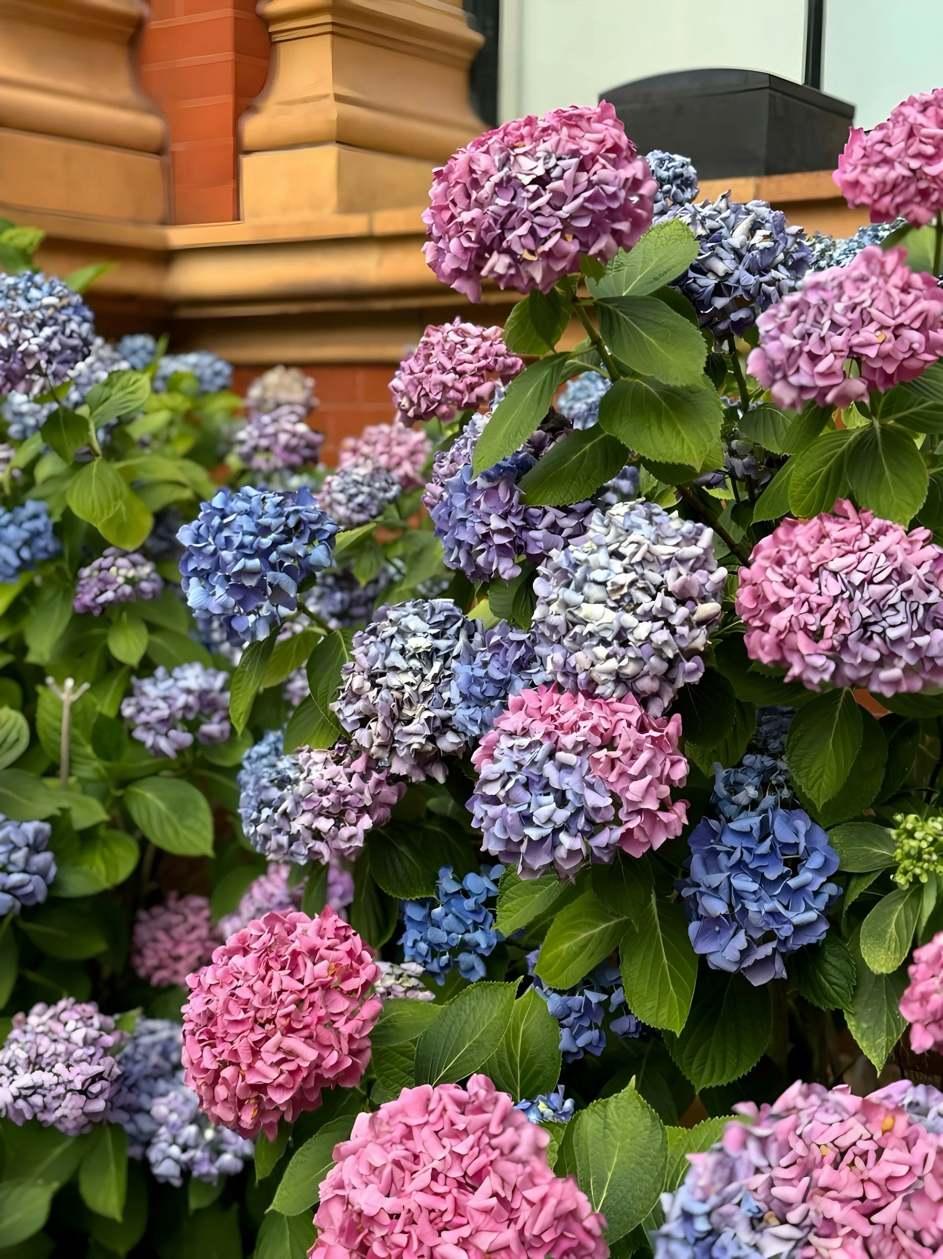 Starting the Quintessential New England Garden: A Guide for Massachusetts Homeowners