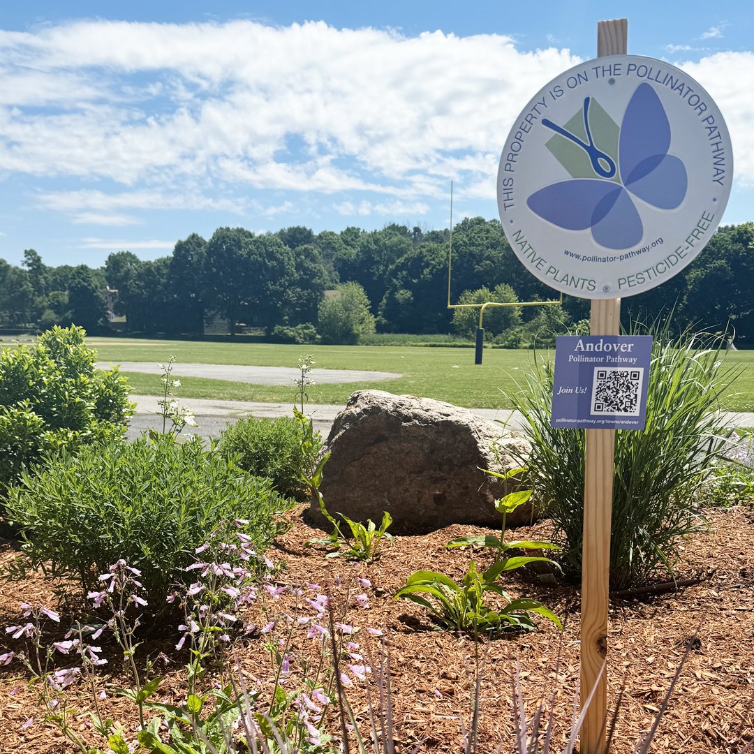 Notable Nonprofits: Pollinator Pathway
