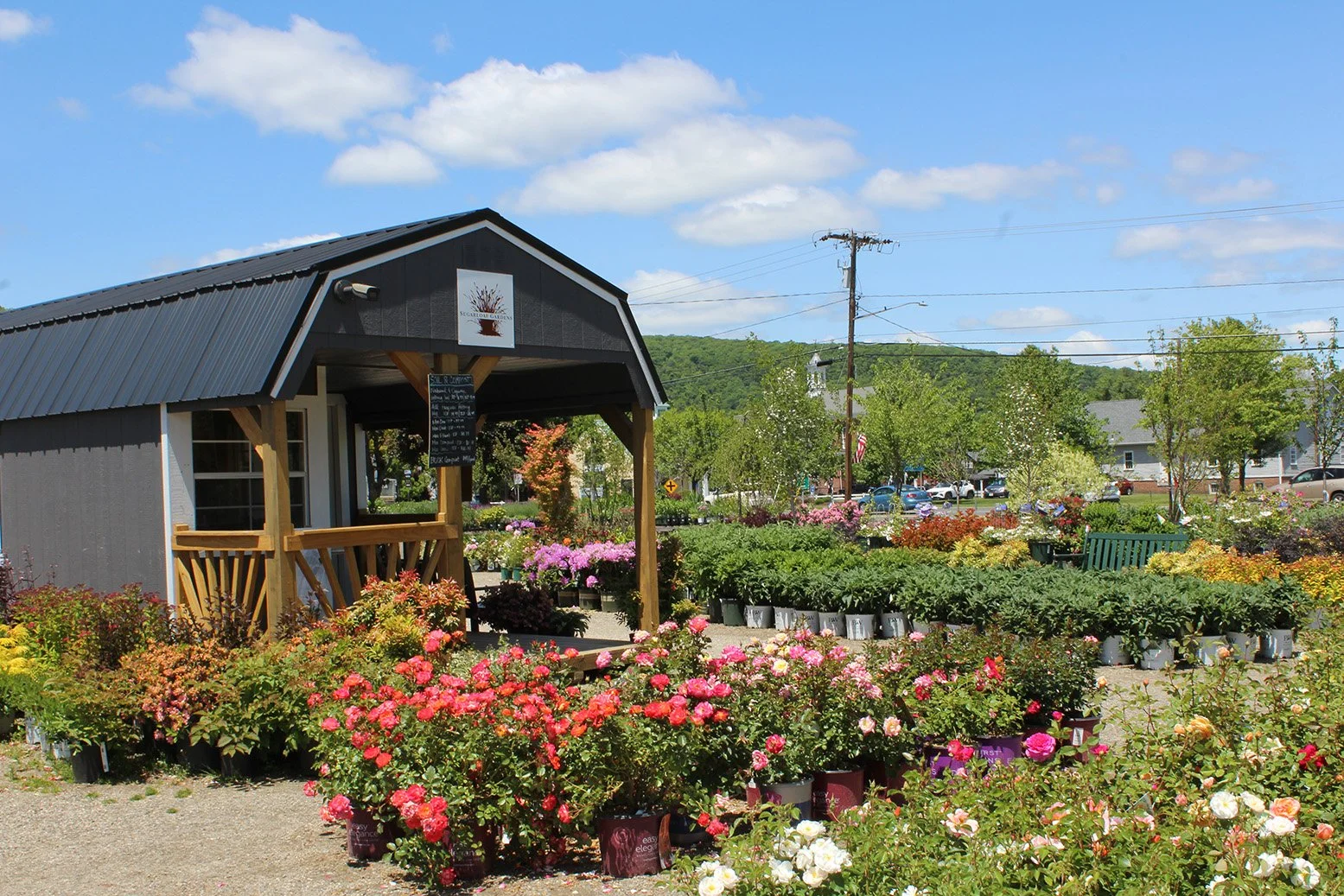 Small Business Spotlight: Sugarloaf Gardens