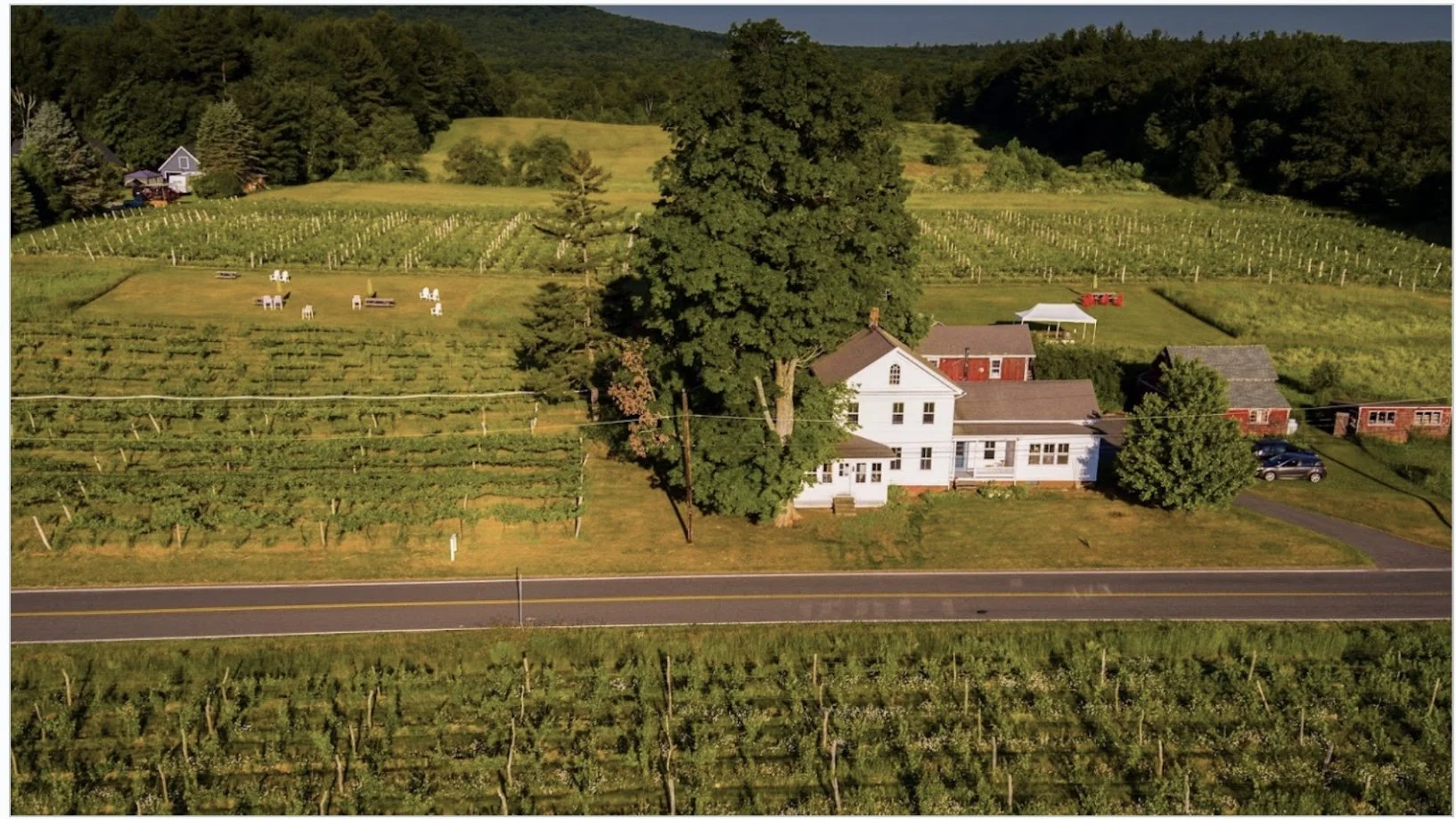 Small Business Spotlight: Glendale Ridge Vineyard