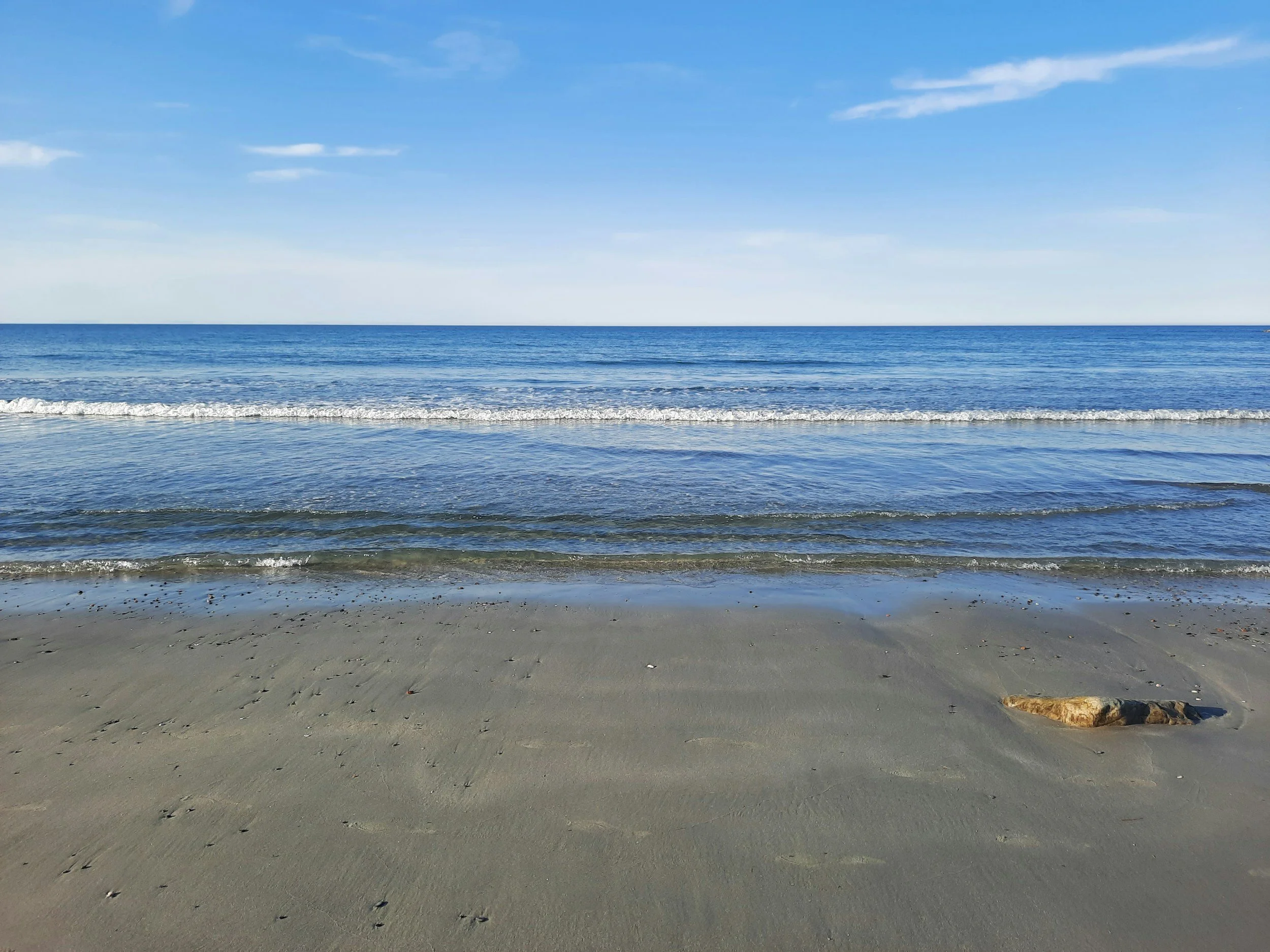 The Ultimate Bay State Summer Beach Guide: 5 Coastal Spots You Can’t Miss