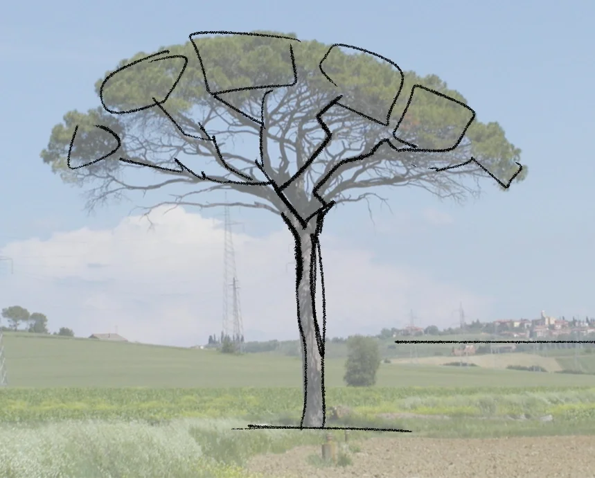 Illustration of a tree with labeled square sections in a hand-drawn style overlaid on a natural landscape background.