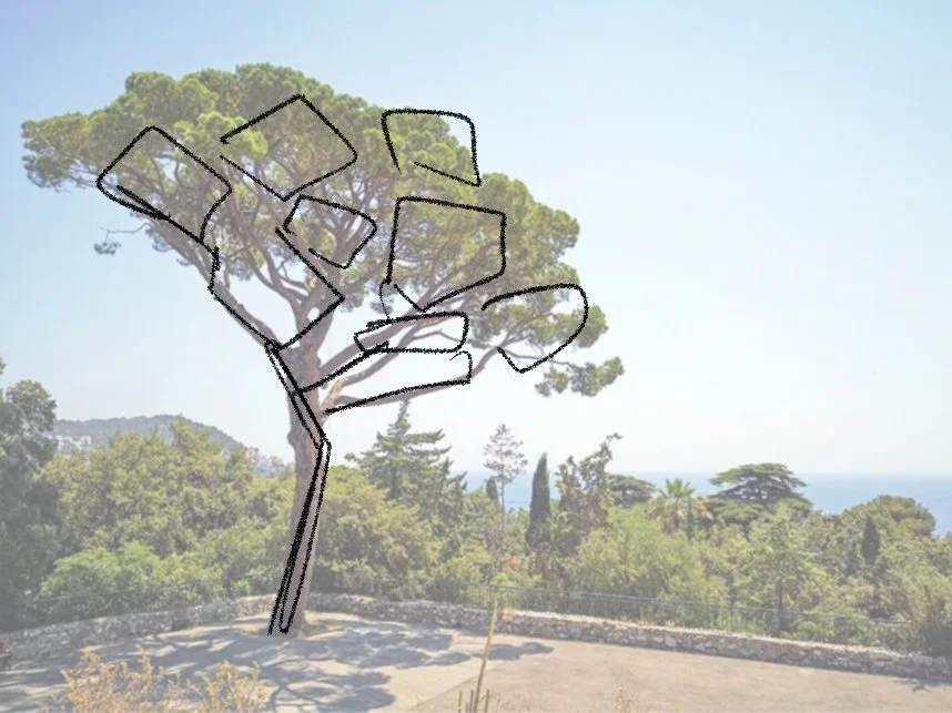 The solar trees were inspired by the iconic form of the Mediterranean stone pine - its vaulted canopy became a natural blueprint.