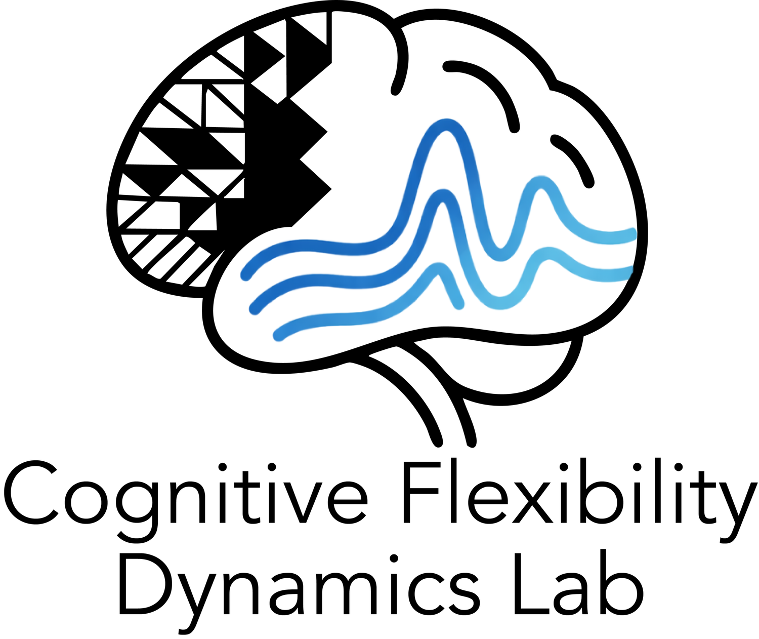 Cognitive Flexibility Dynamics Lab