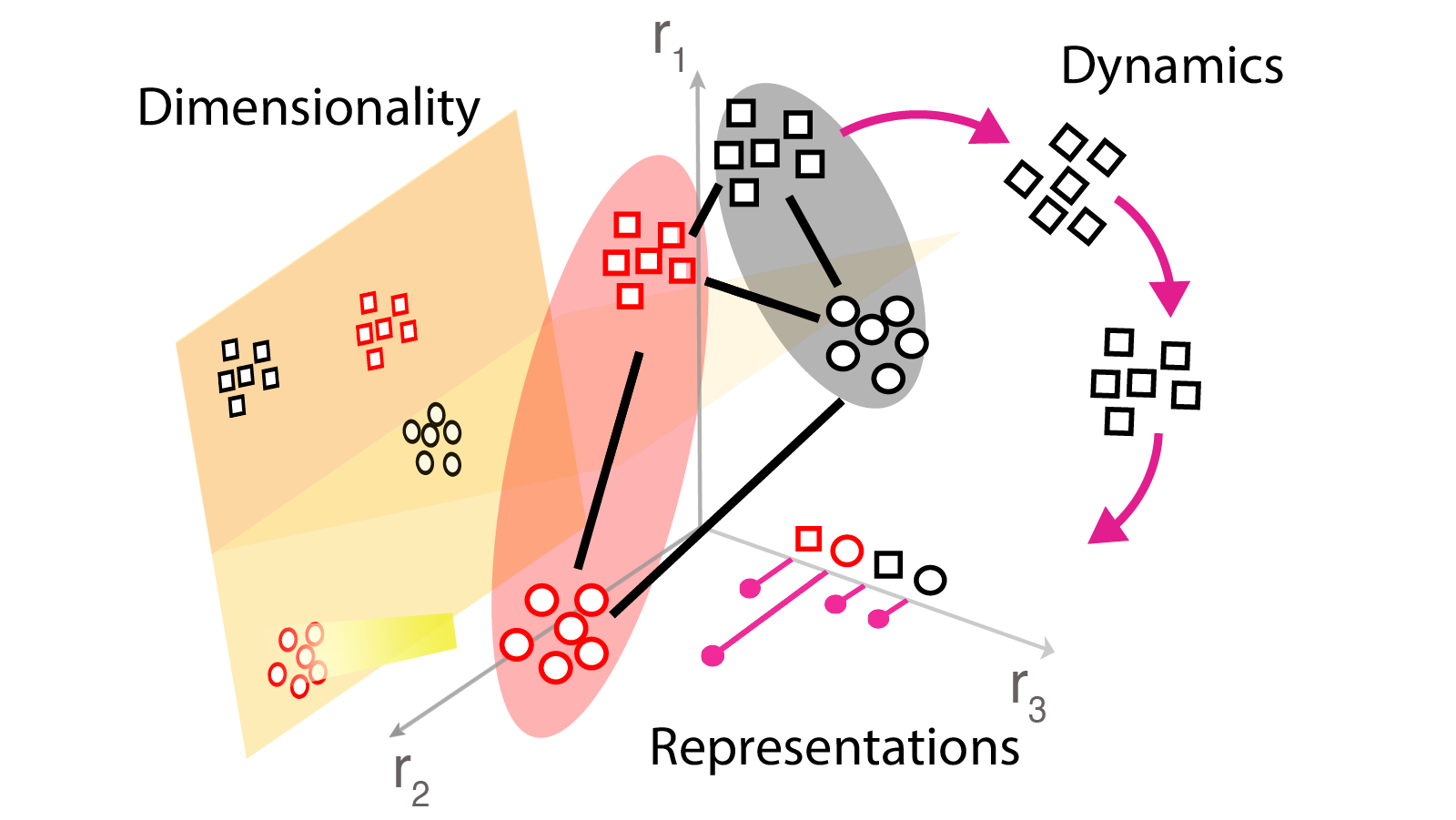 Dynamics, Geometry and Dimensionality of Control
