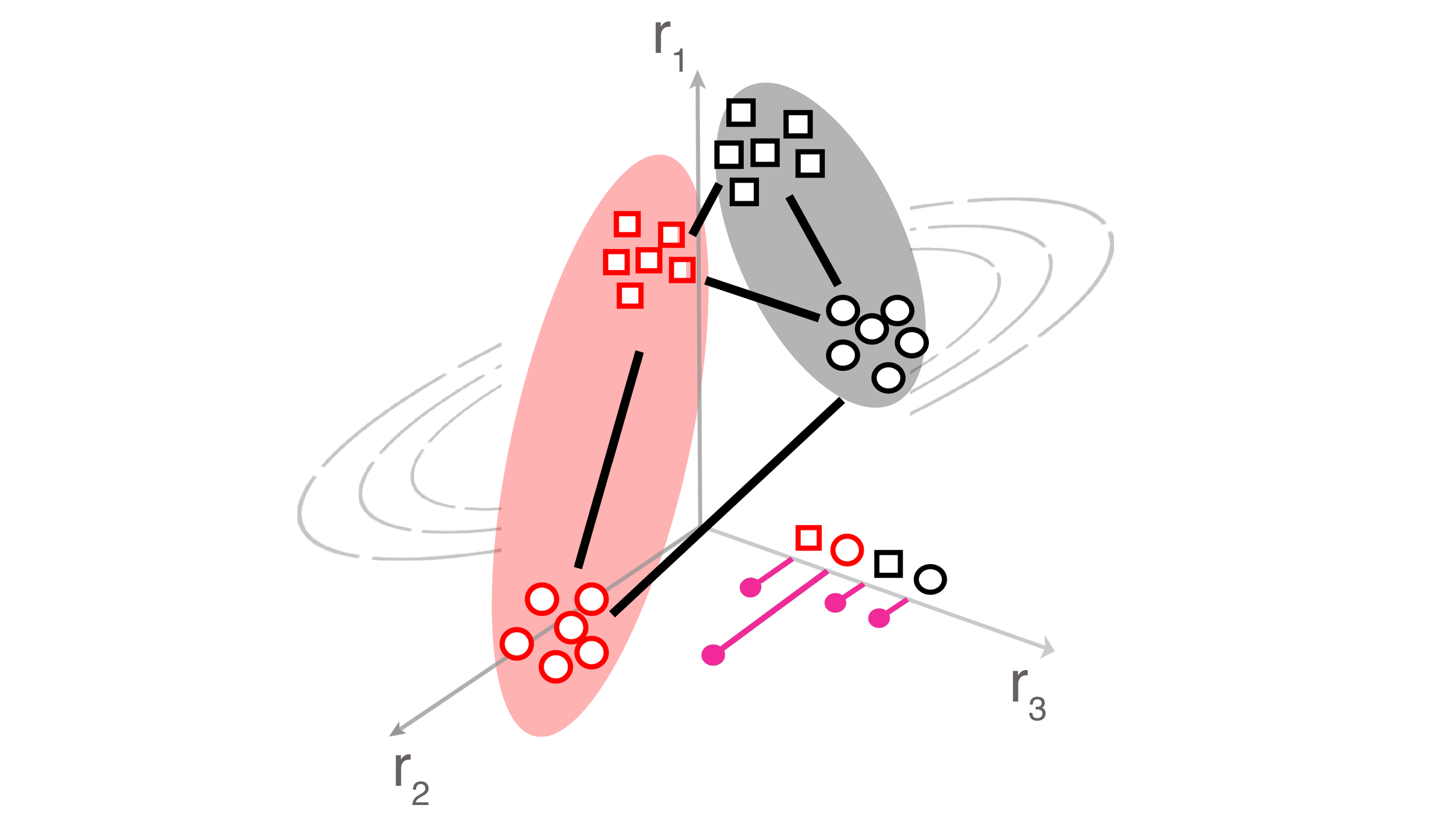 Dynamics, Geometry and Dimensionality of Control Representations