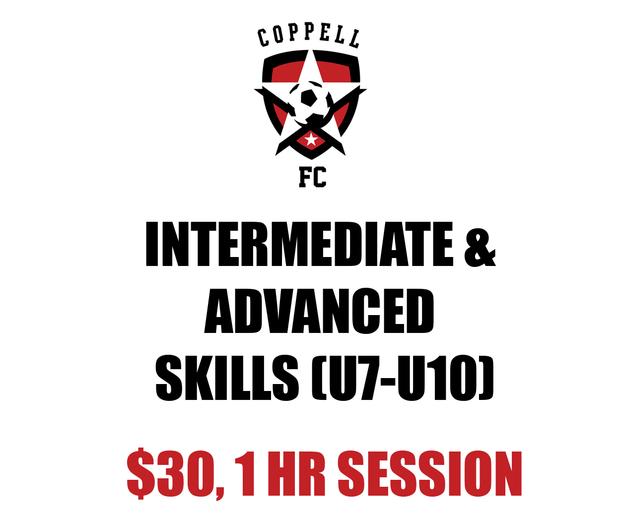 INT&ADV SKILLS LOGO.png