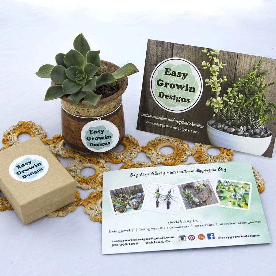 portfolio_easy growing.jpg