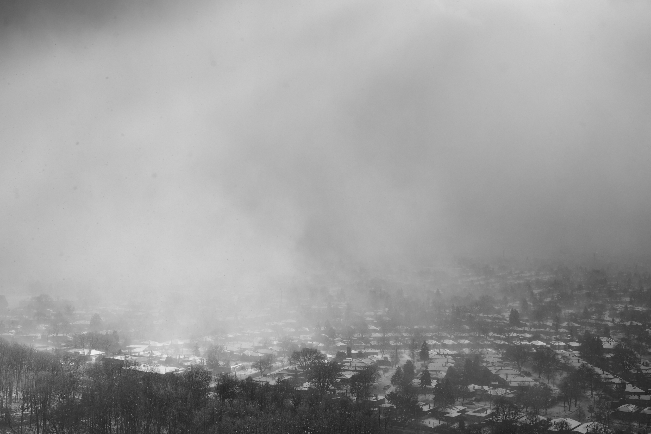 CFD Toronto 2022 13.png