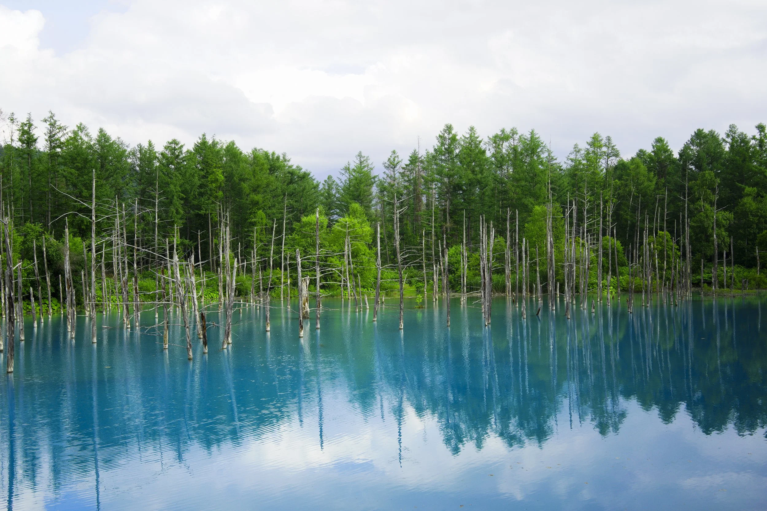 Biei, Hokkaido, Japan, 2019