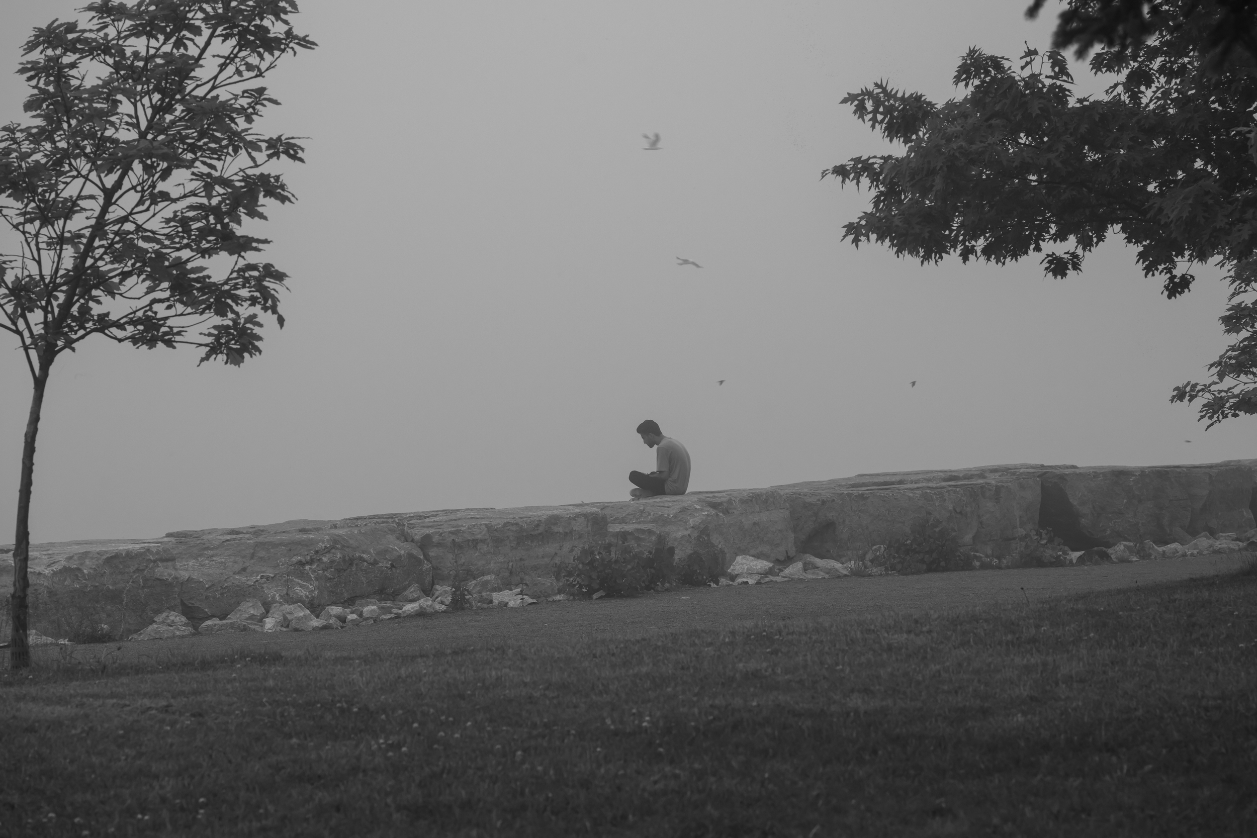 CFD Toronto 2025 56.png