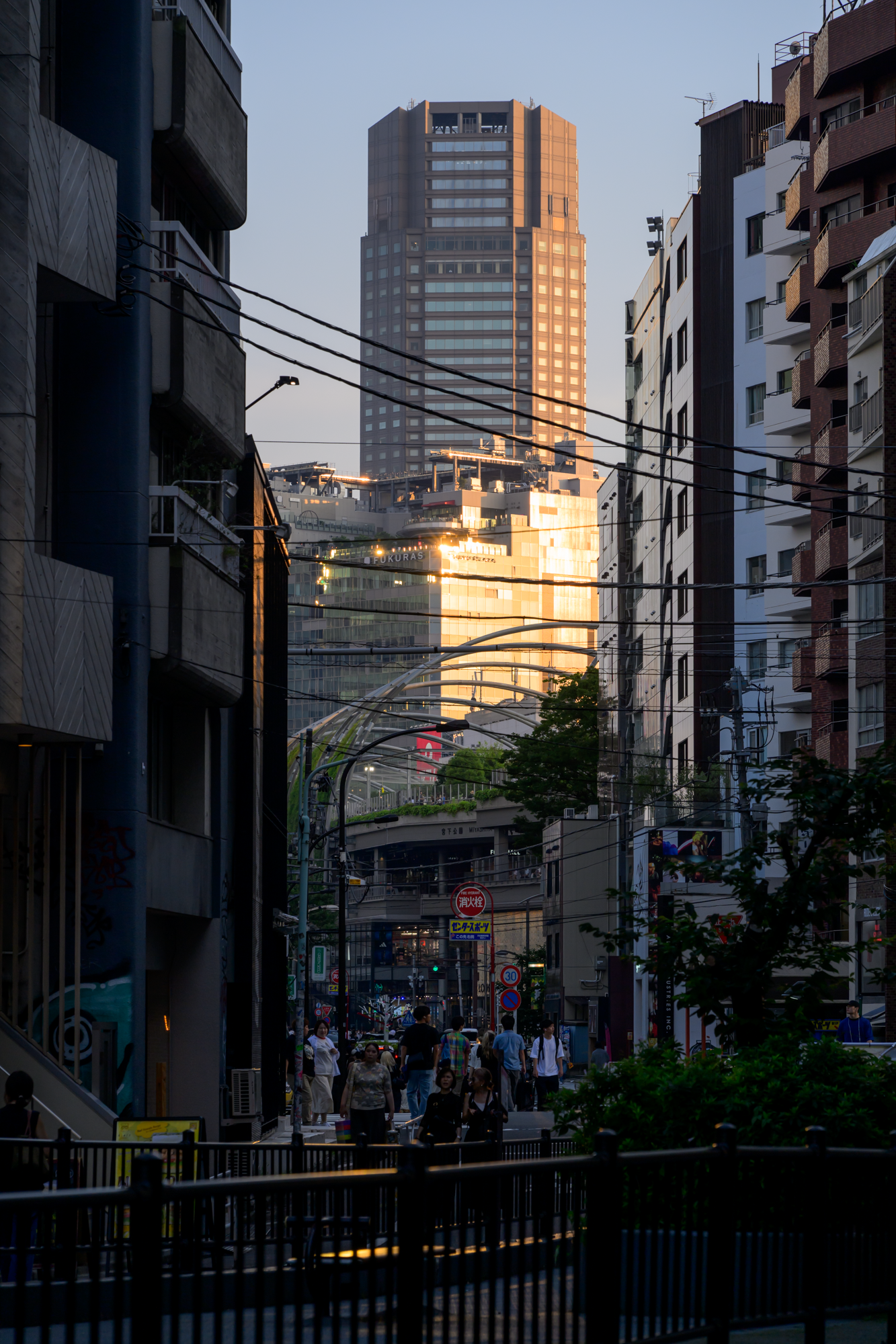 CFD Tokyo 2024 21.png