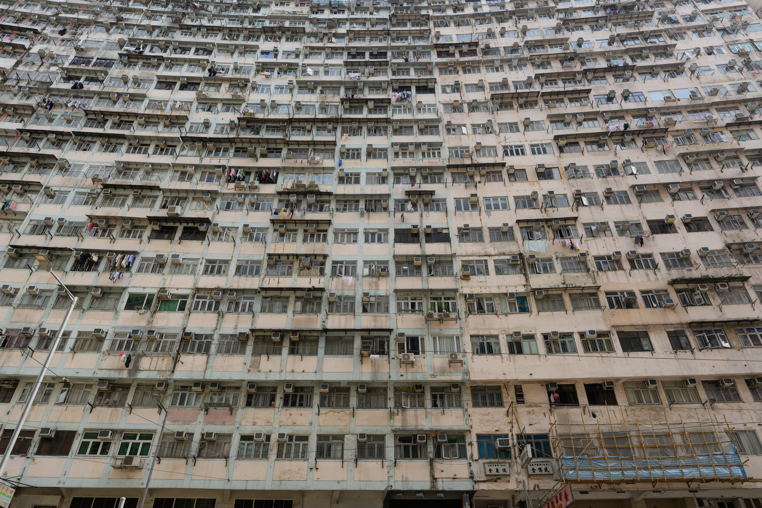 CFD Hong Kong 2024 25.png