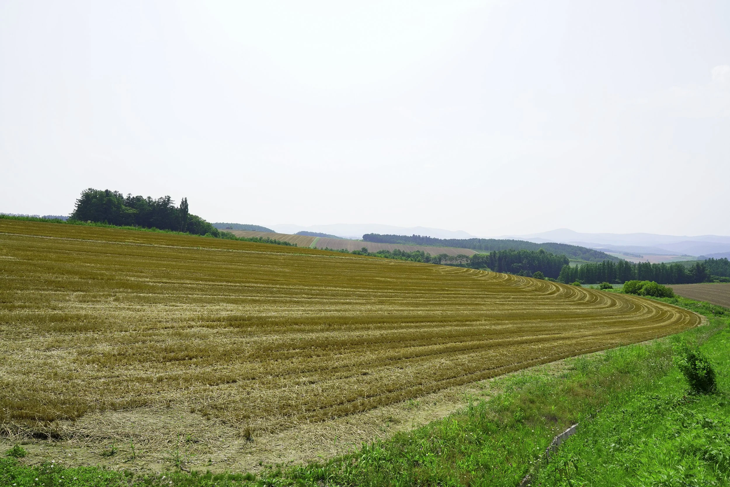 Biei, Hokkaido, Japan, 2019