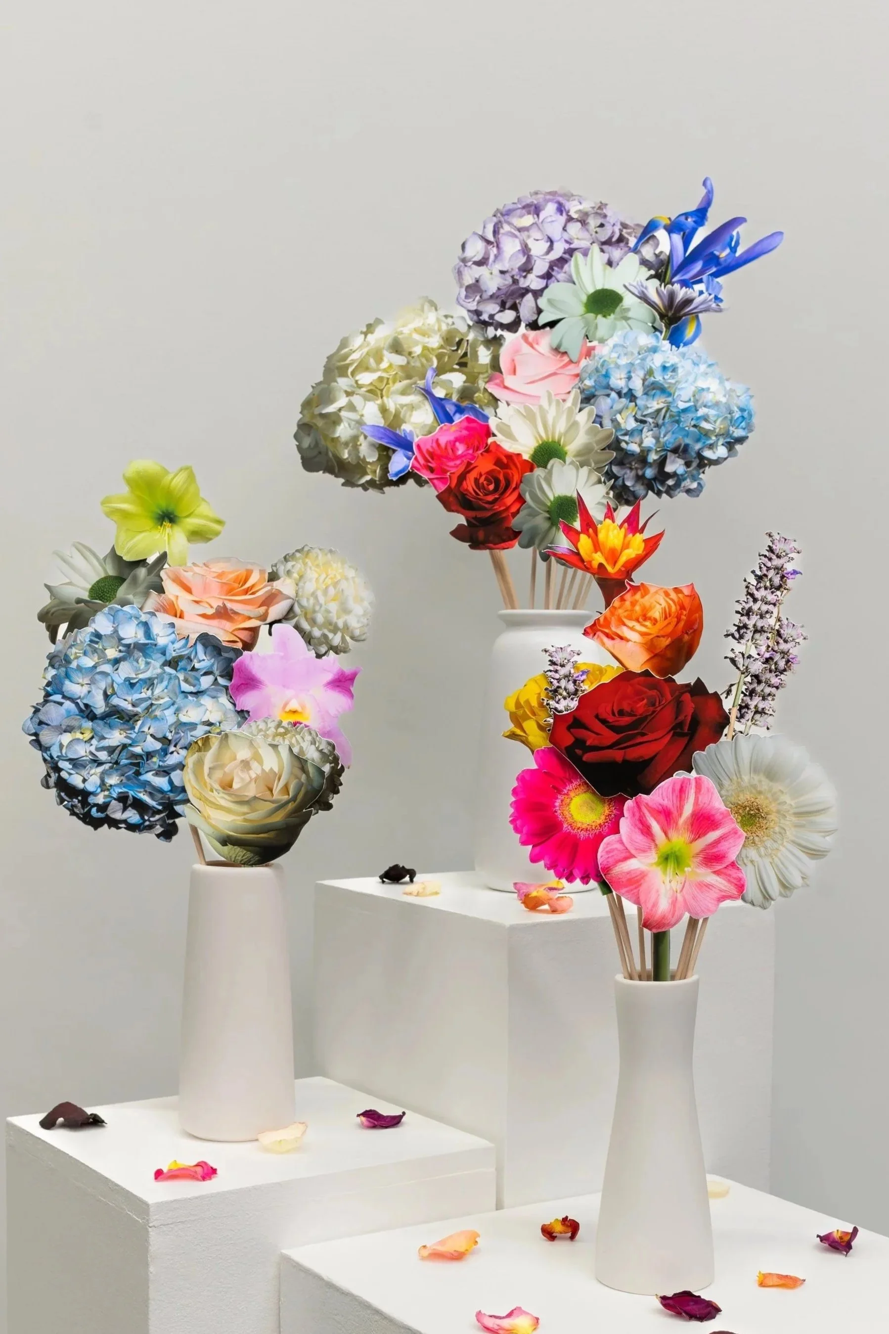 Bloom Finale