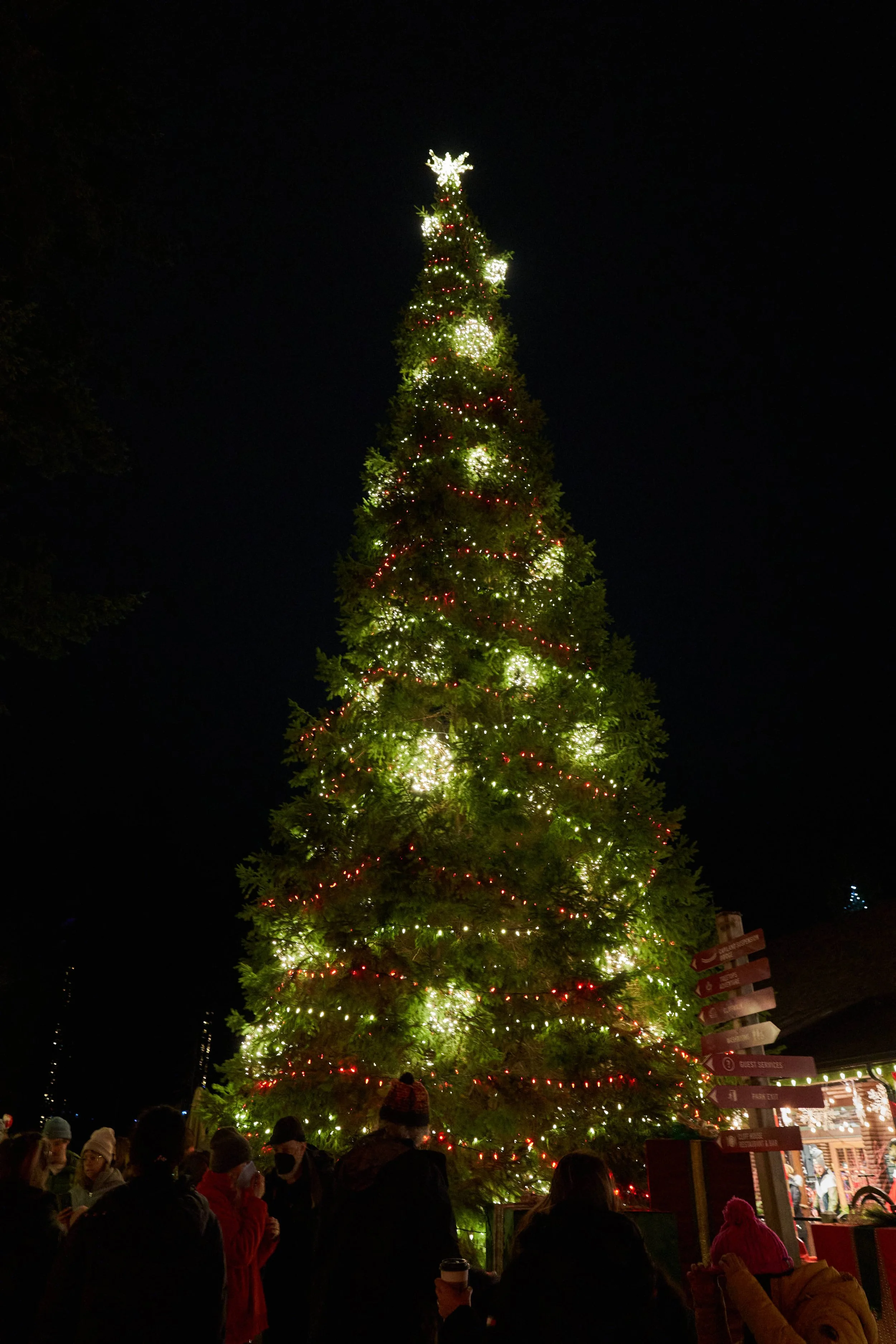 Christmas Tree at Capilano, Vancouver, 2025