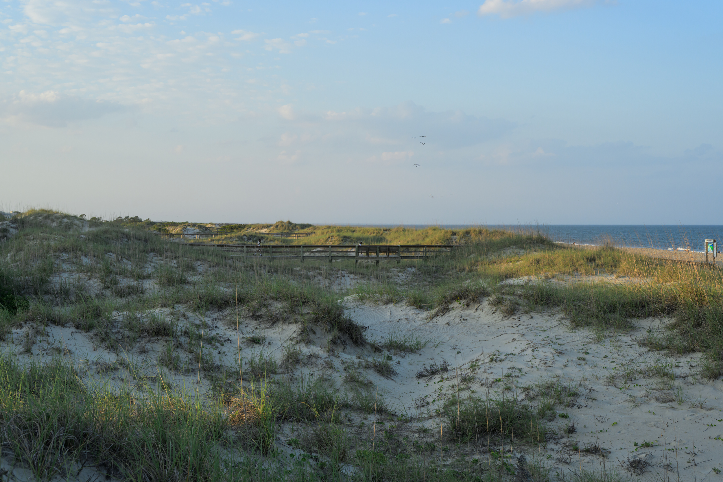 CFD Georgia 2025 11.png