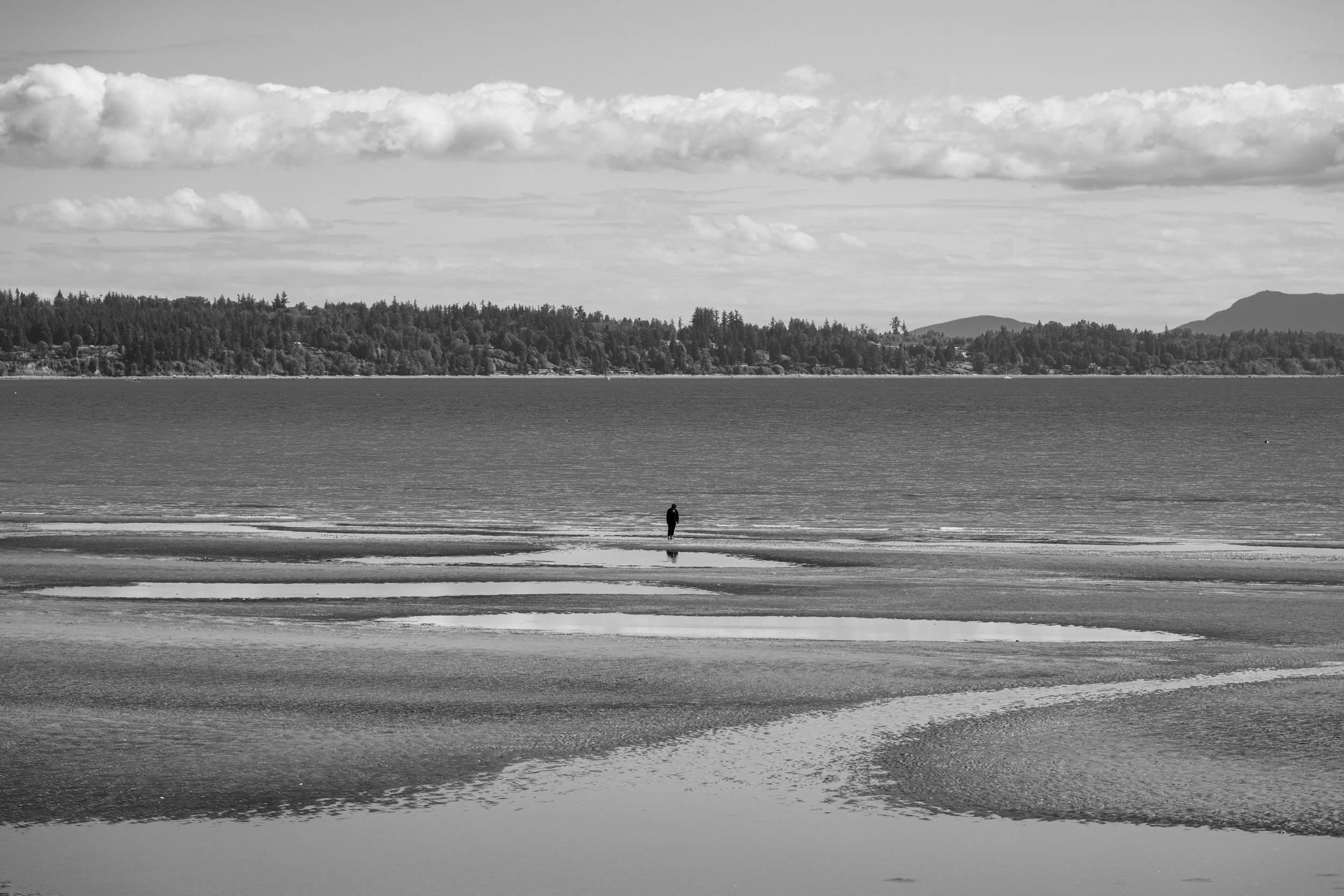 CFD Vancouver 2025 17.png