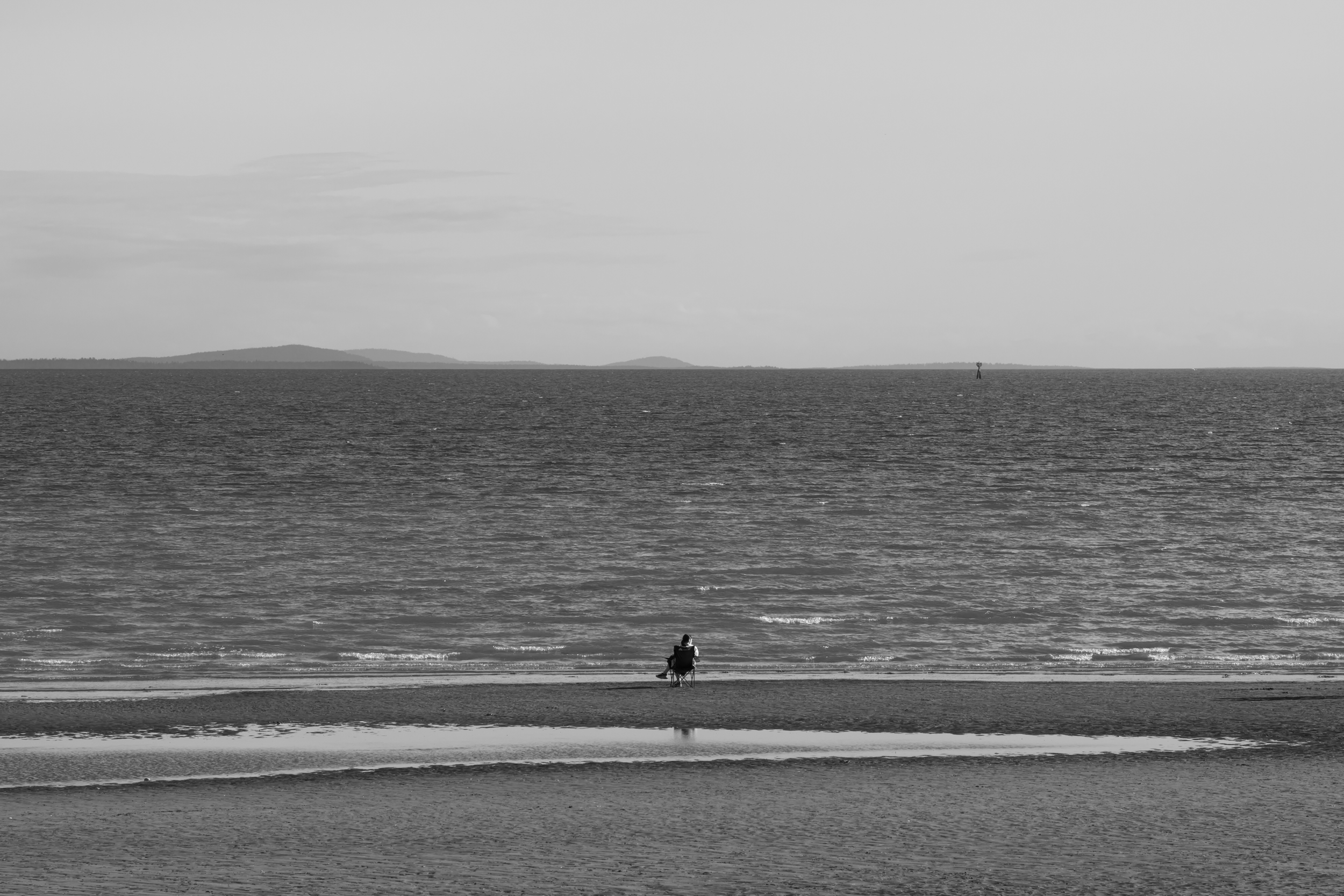 CFD Vancouver 2025 22.png