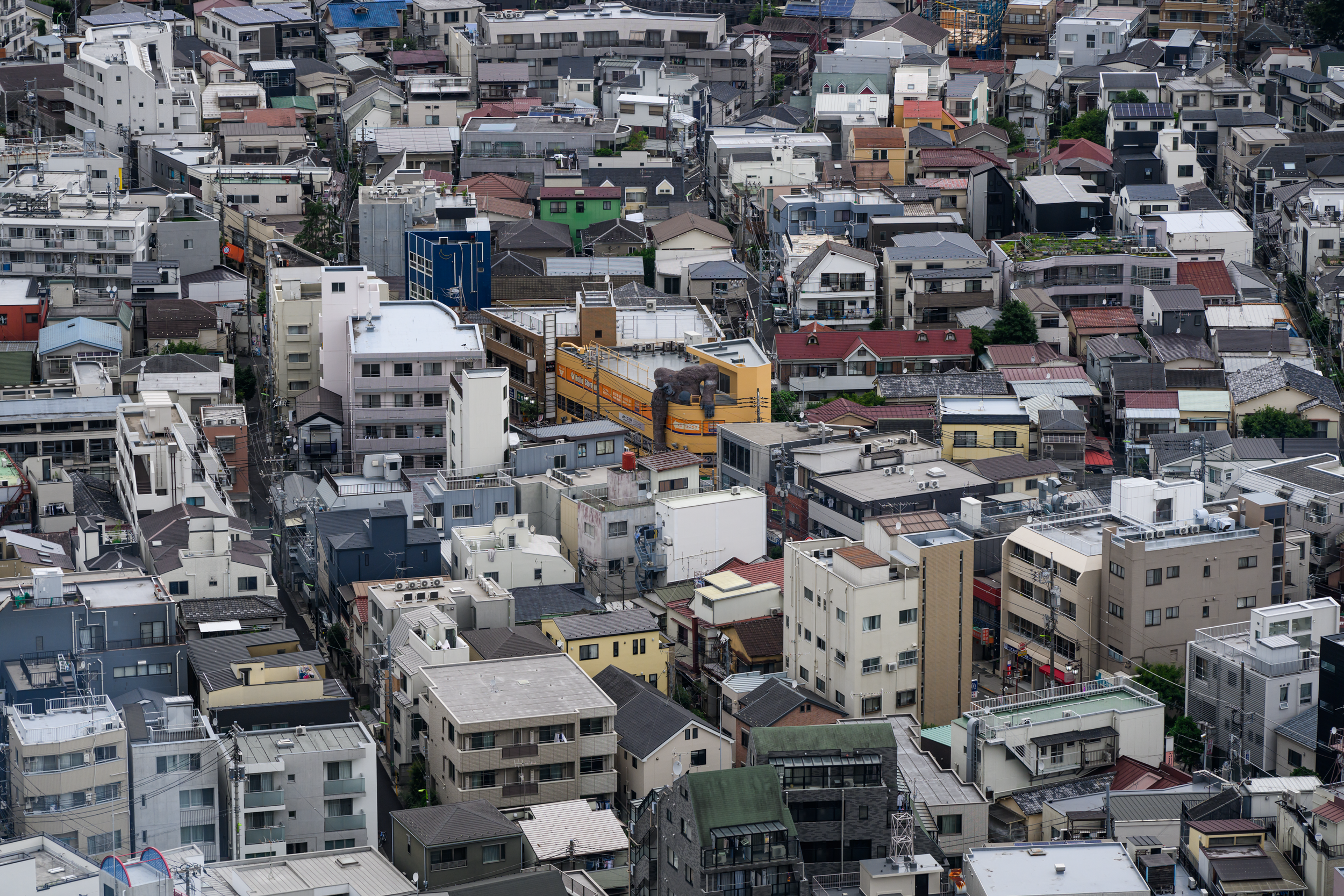 CFD Tokyo 2024 7.png