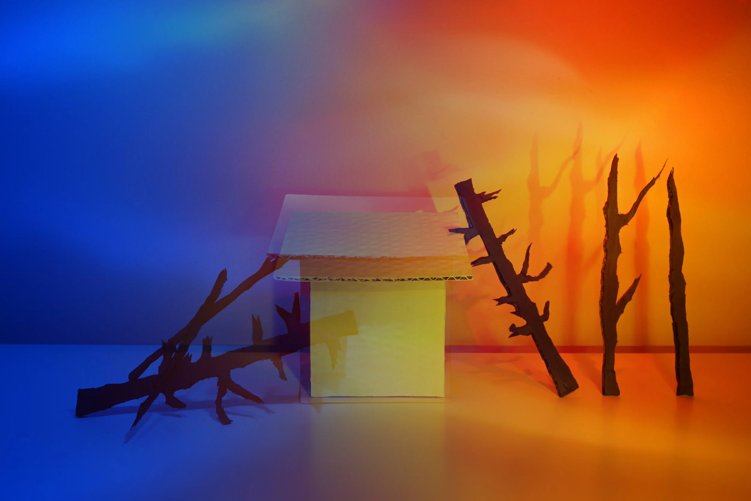 Home; Flood Water and Wild Fire