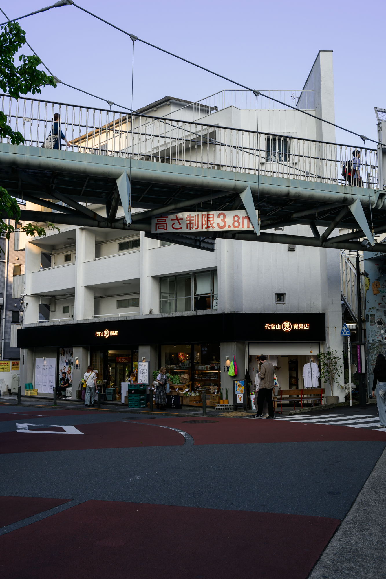 CFD Tokyo 2024 20.png