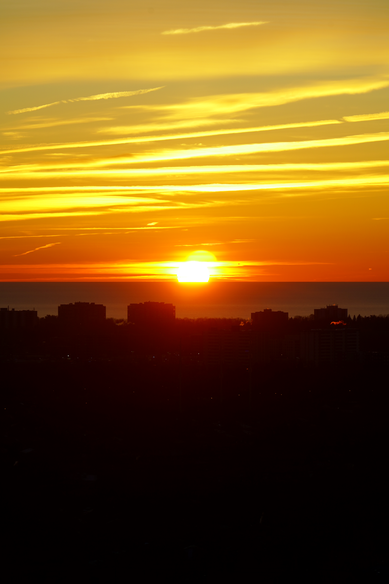 CFD Toronto 2021 12.png