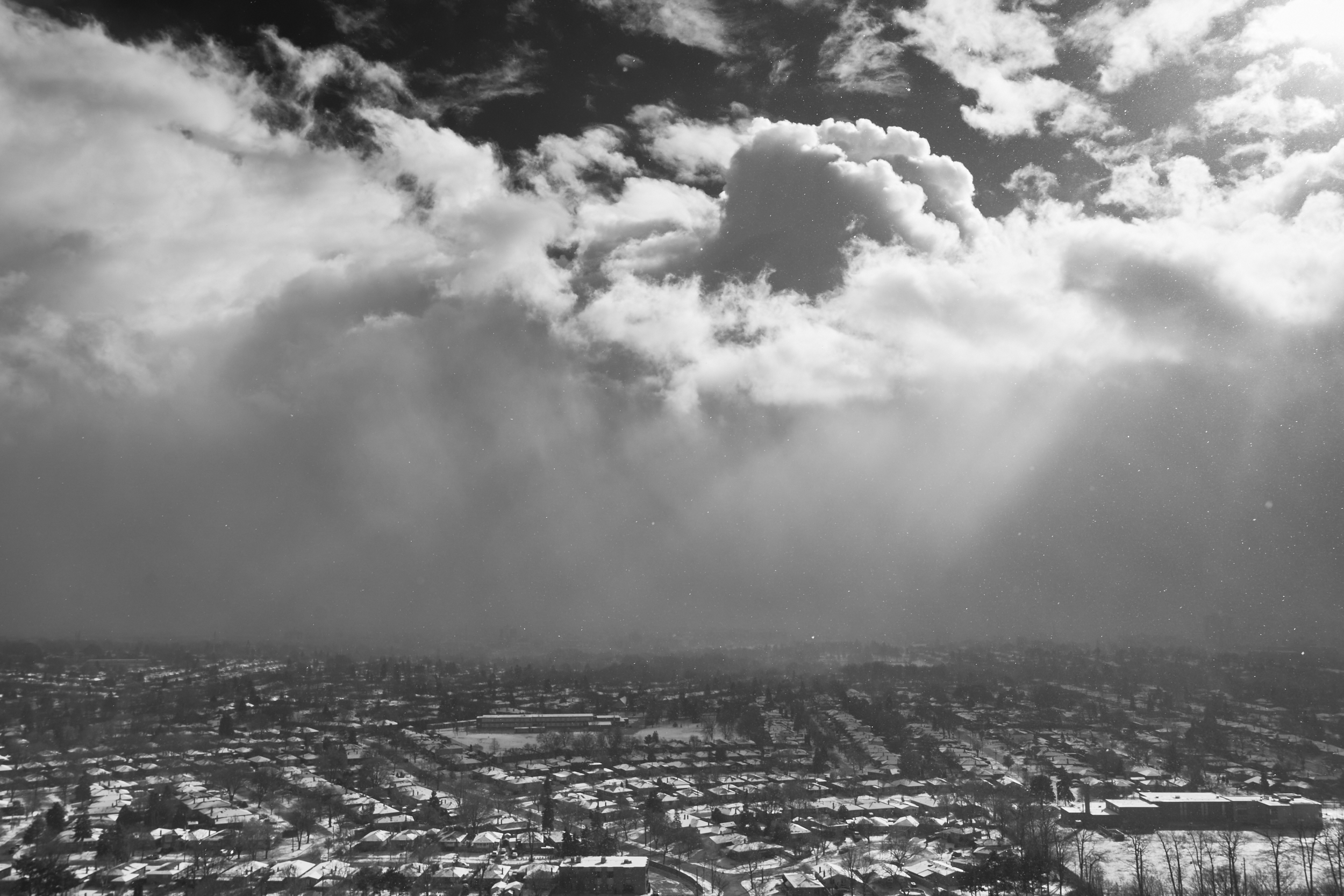 Daylight Snow, Scarborough, Toronto, Ontario, 2024