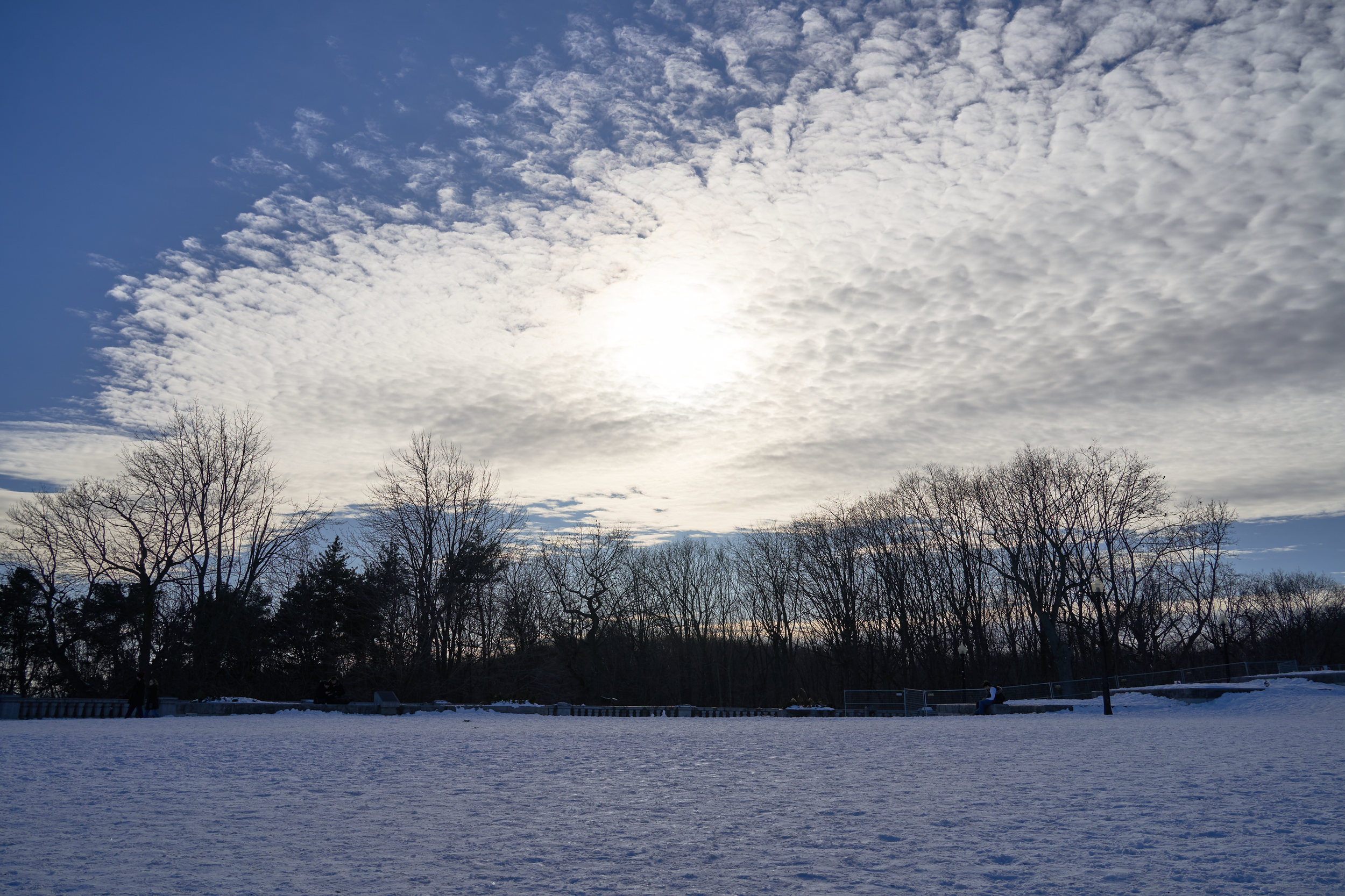 CFD Montréal 2024 10.png