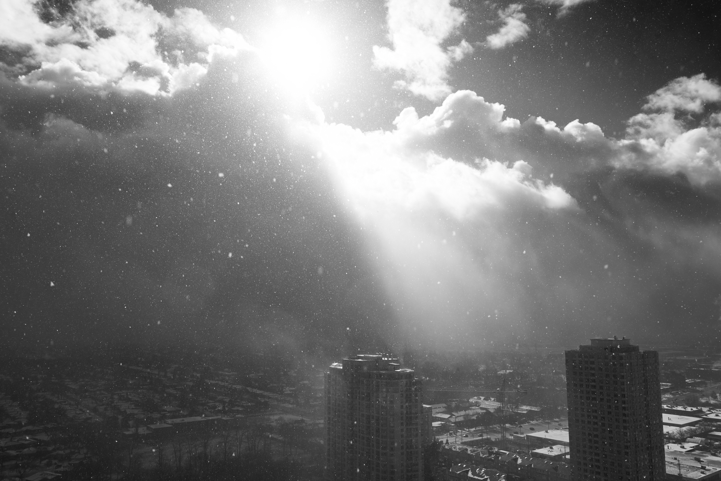 CFD Toronto 2022 15.png