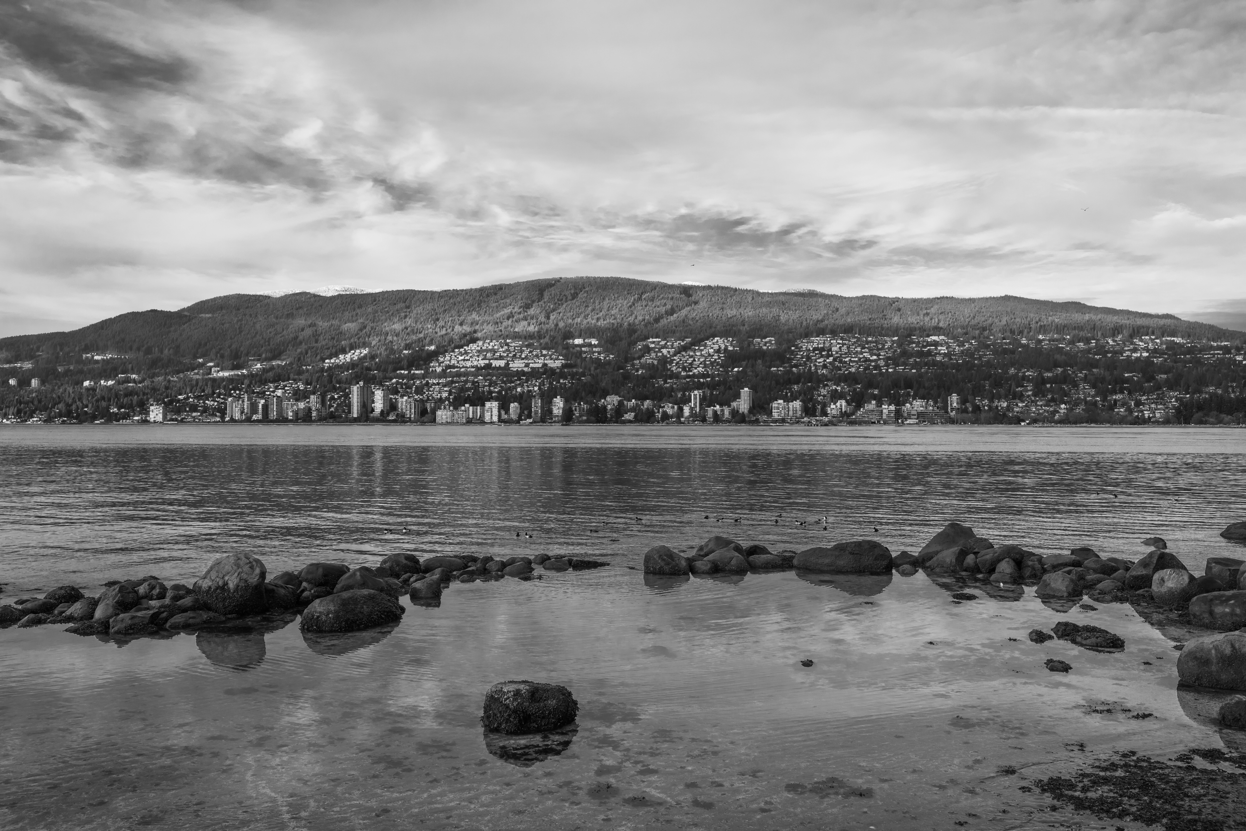 CFD Vancouver 2025 48.png