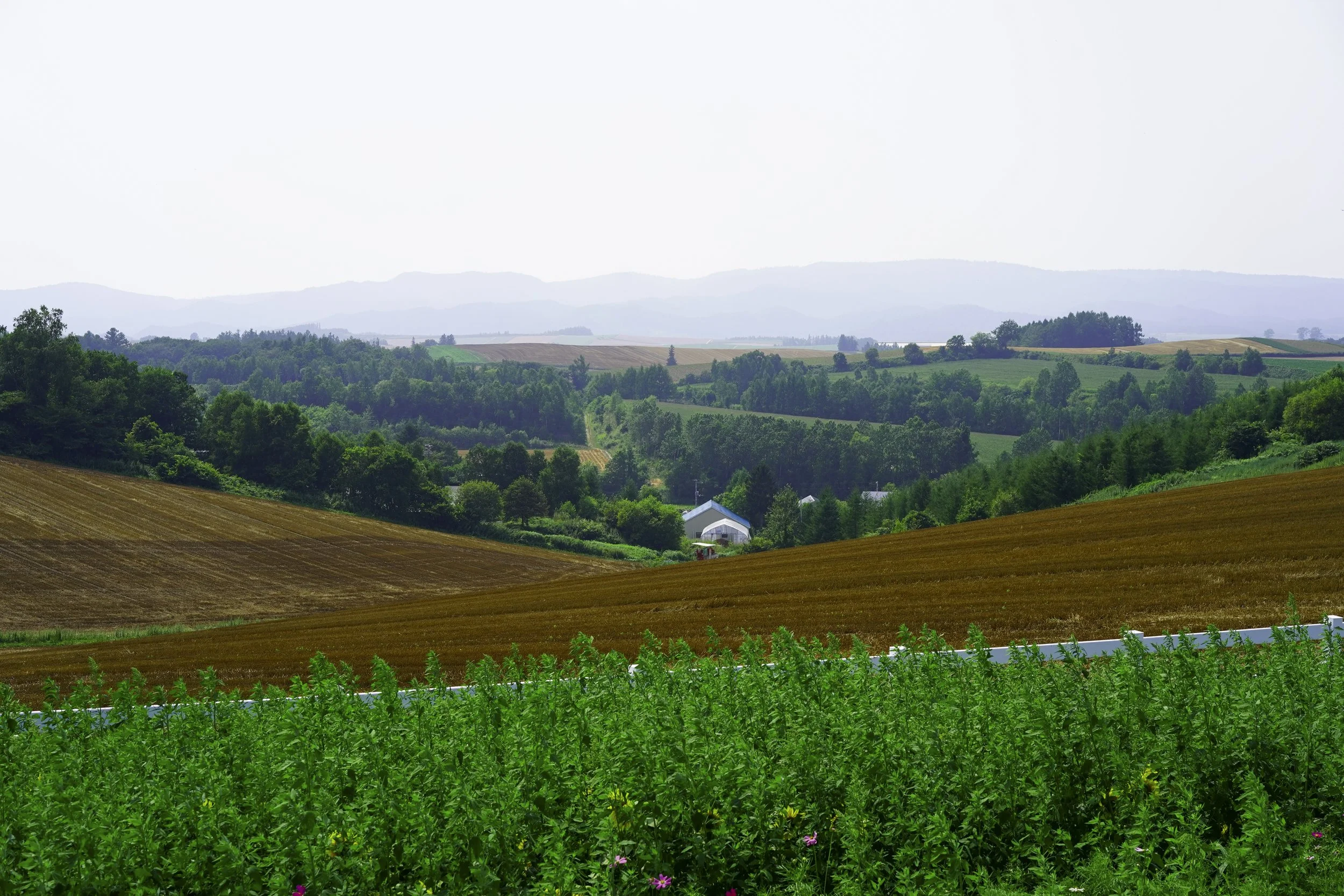 Biei, Hokkaido, Japan, 2019