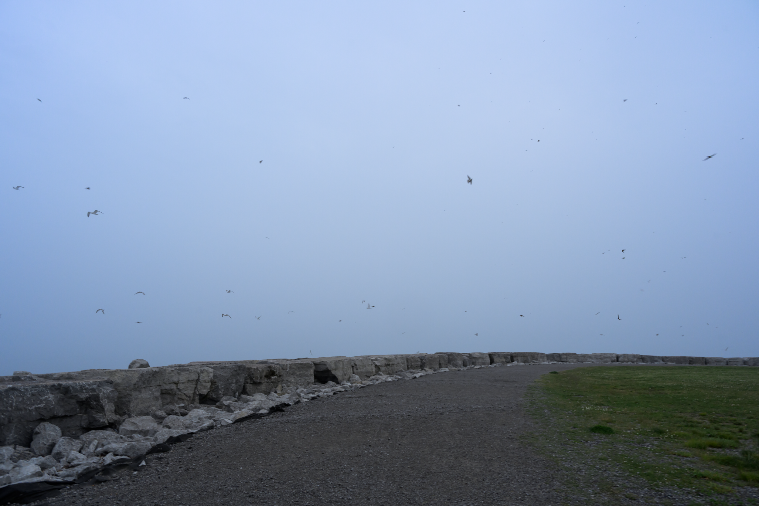 CFD Toronto 2025 54.png