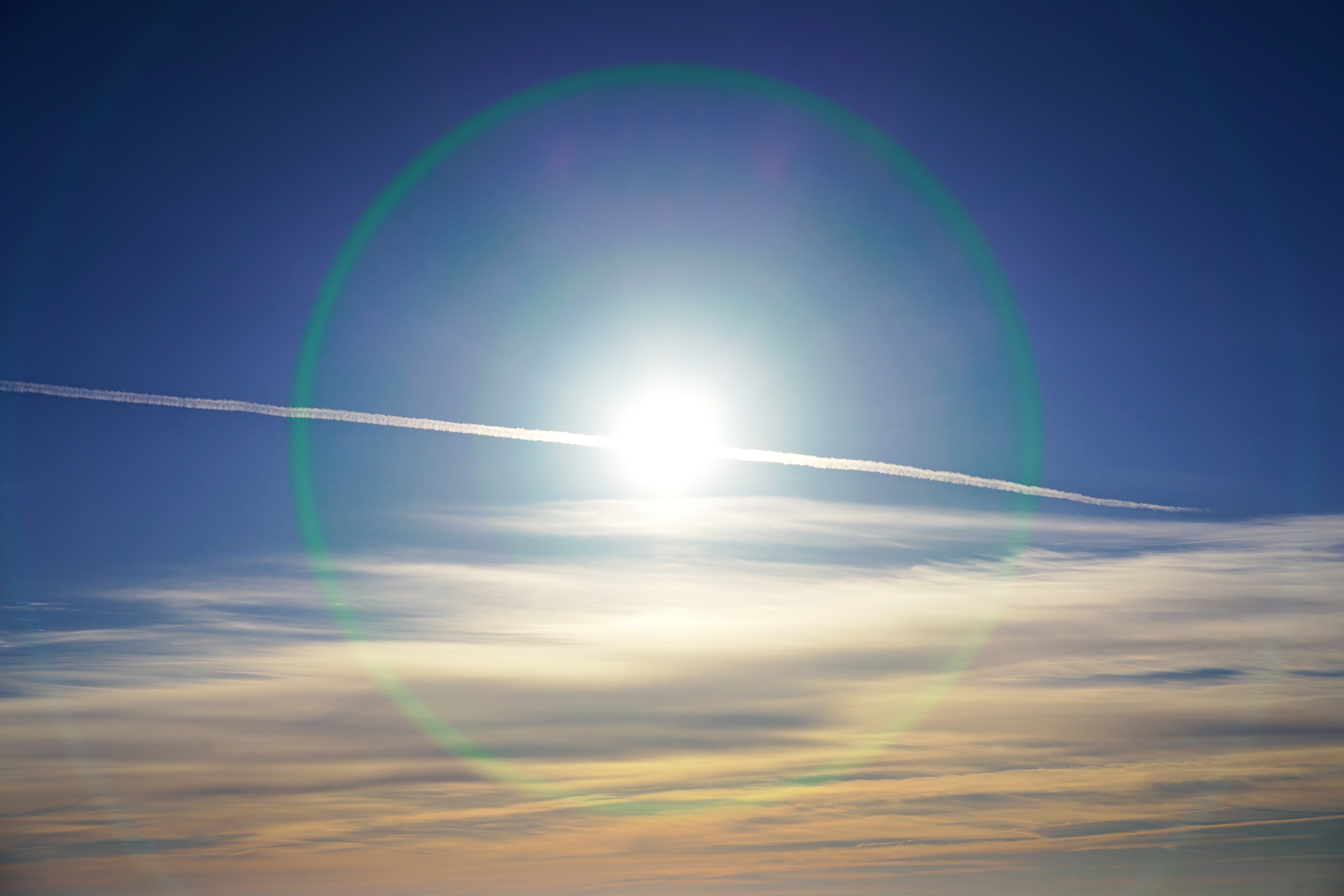 CFD Toronto 2021 14.png