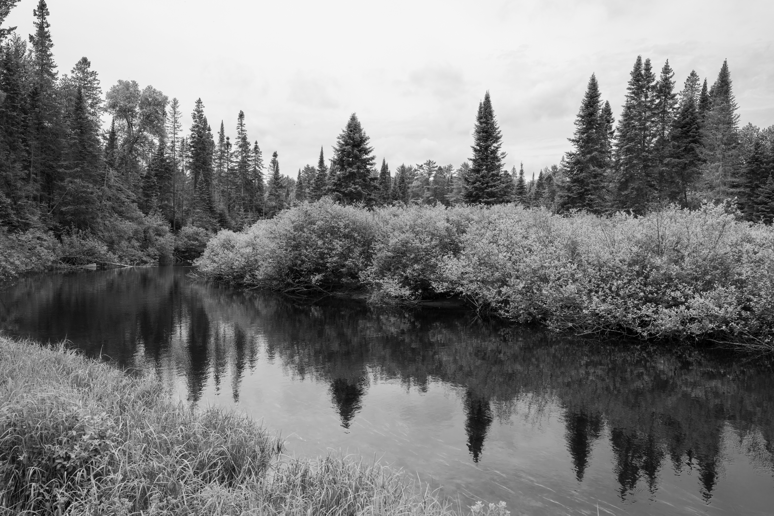 CFD Toronto 2025 58.png