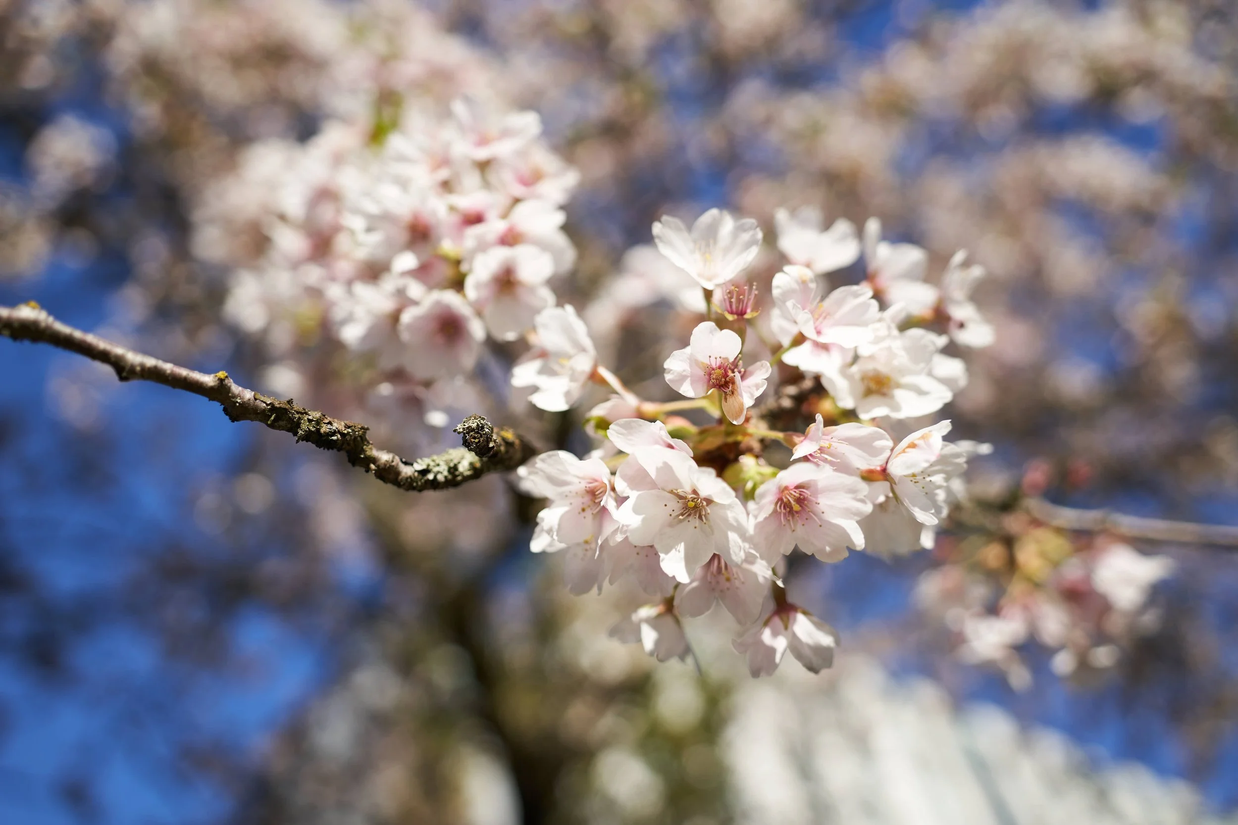 Vancouver 2023 6.jpg