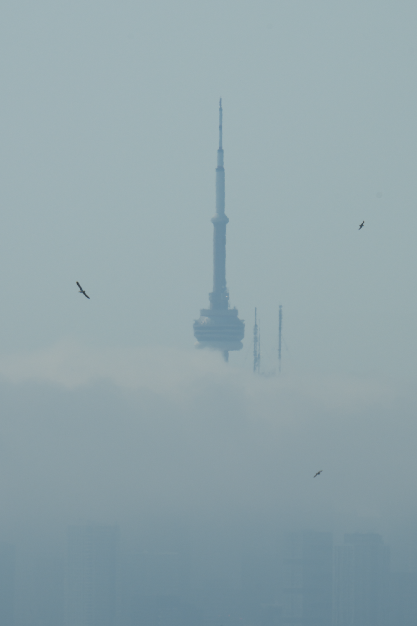 Toronto 2024 6.png