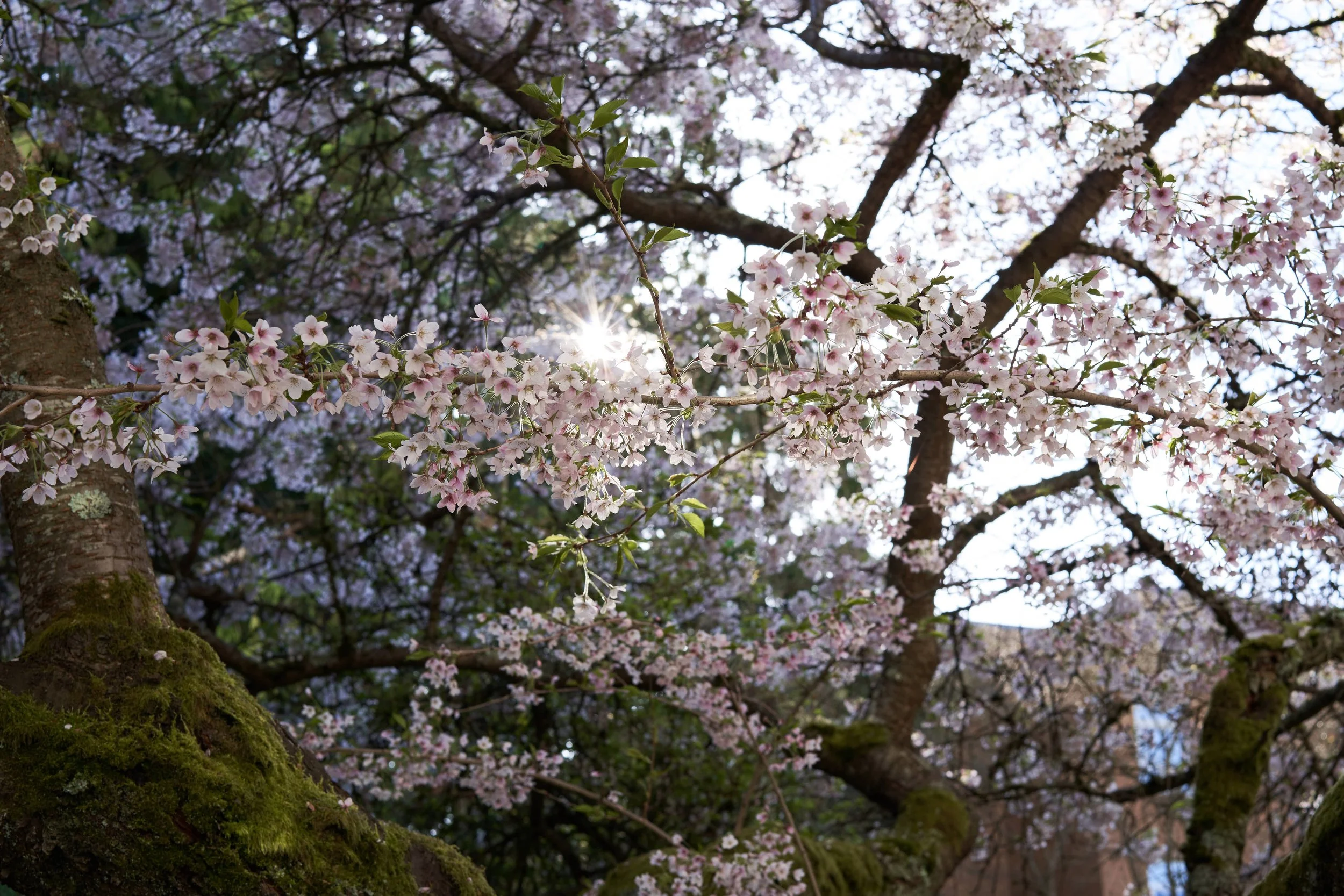 Vancouver 2023 2.jpg