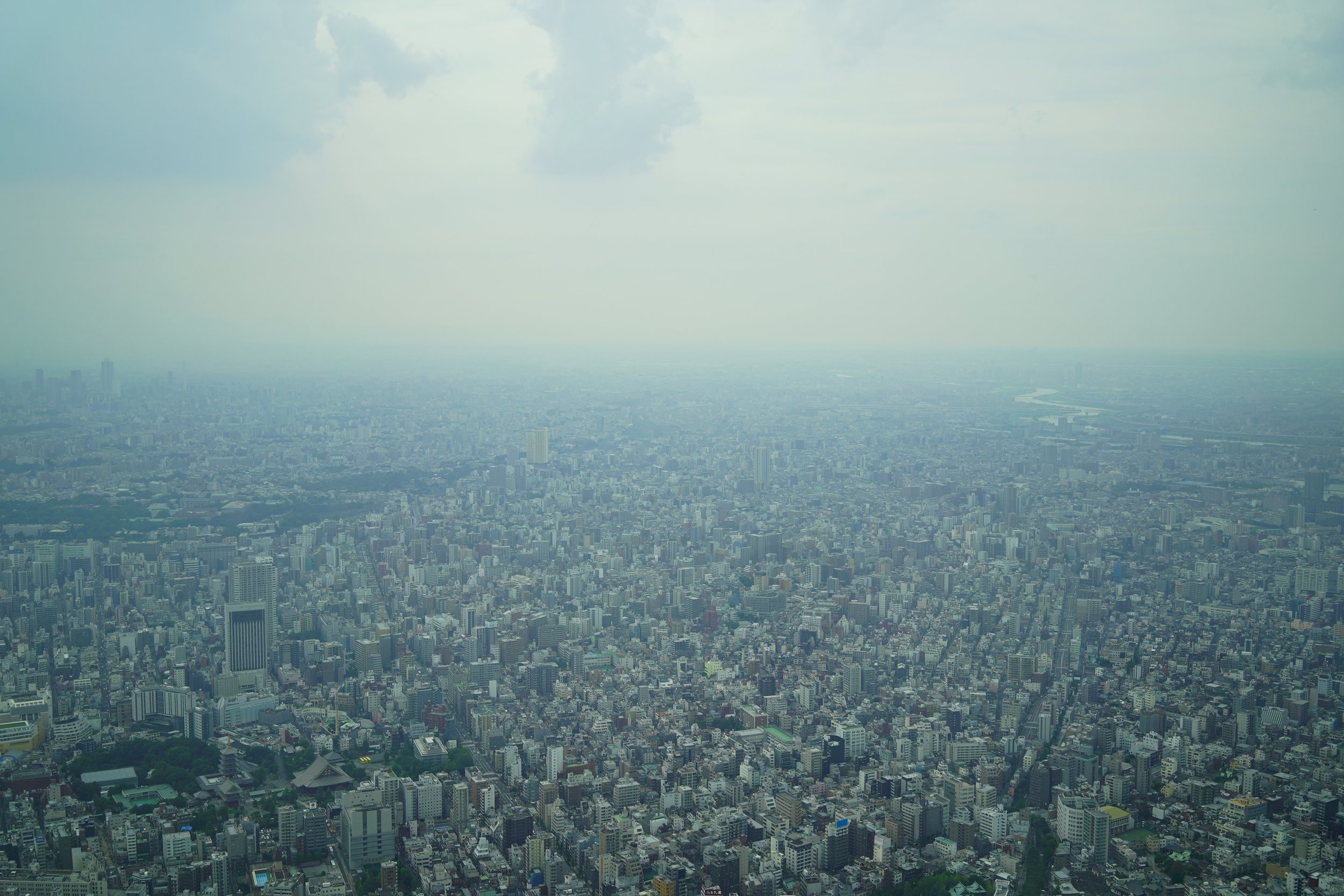 Tokyo, Japan, Summer, 2018
