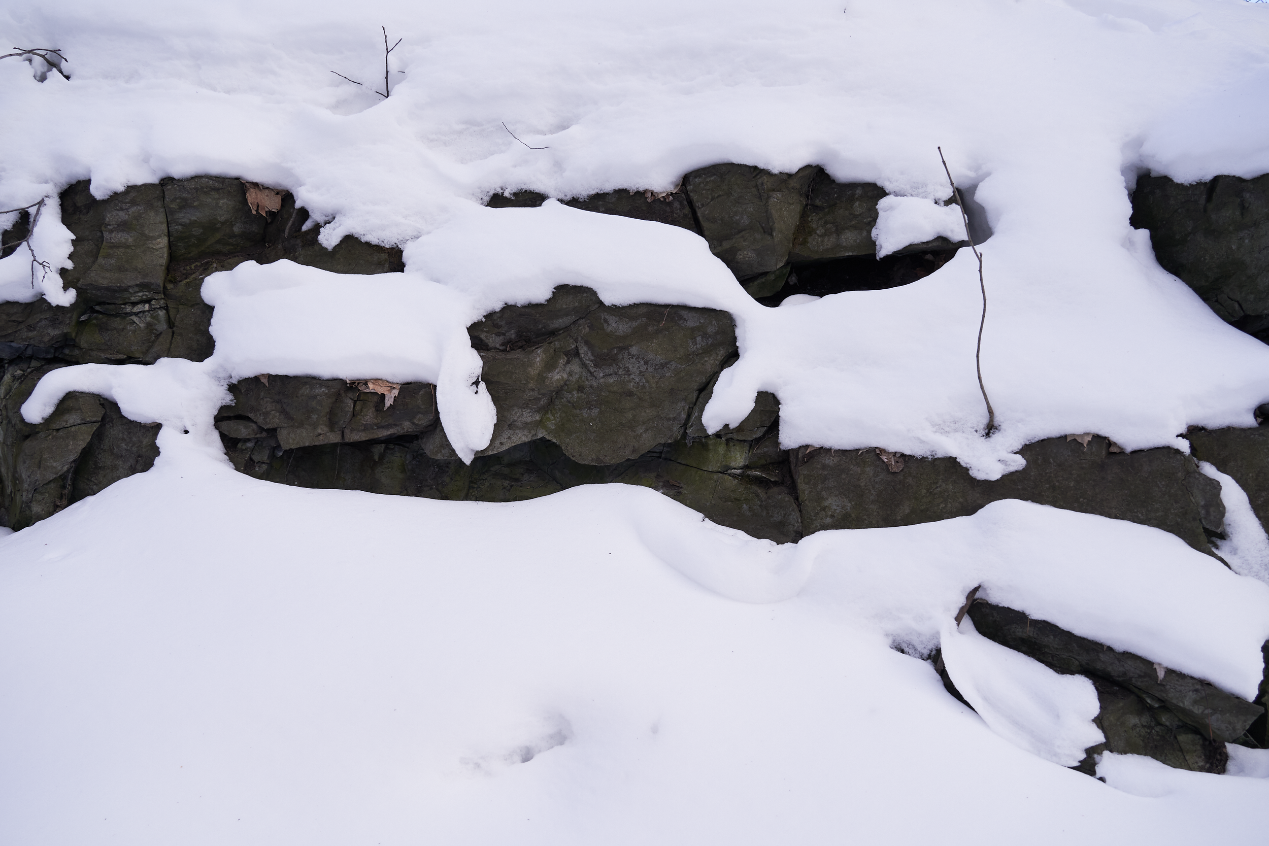 CFD Montréal 2024 14.png