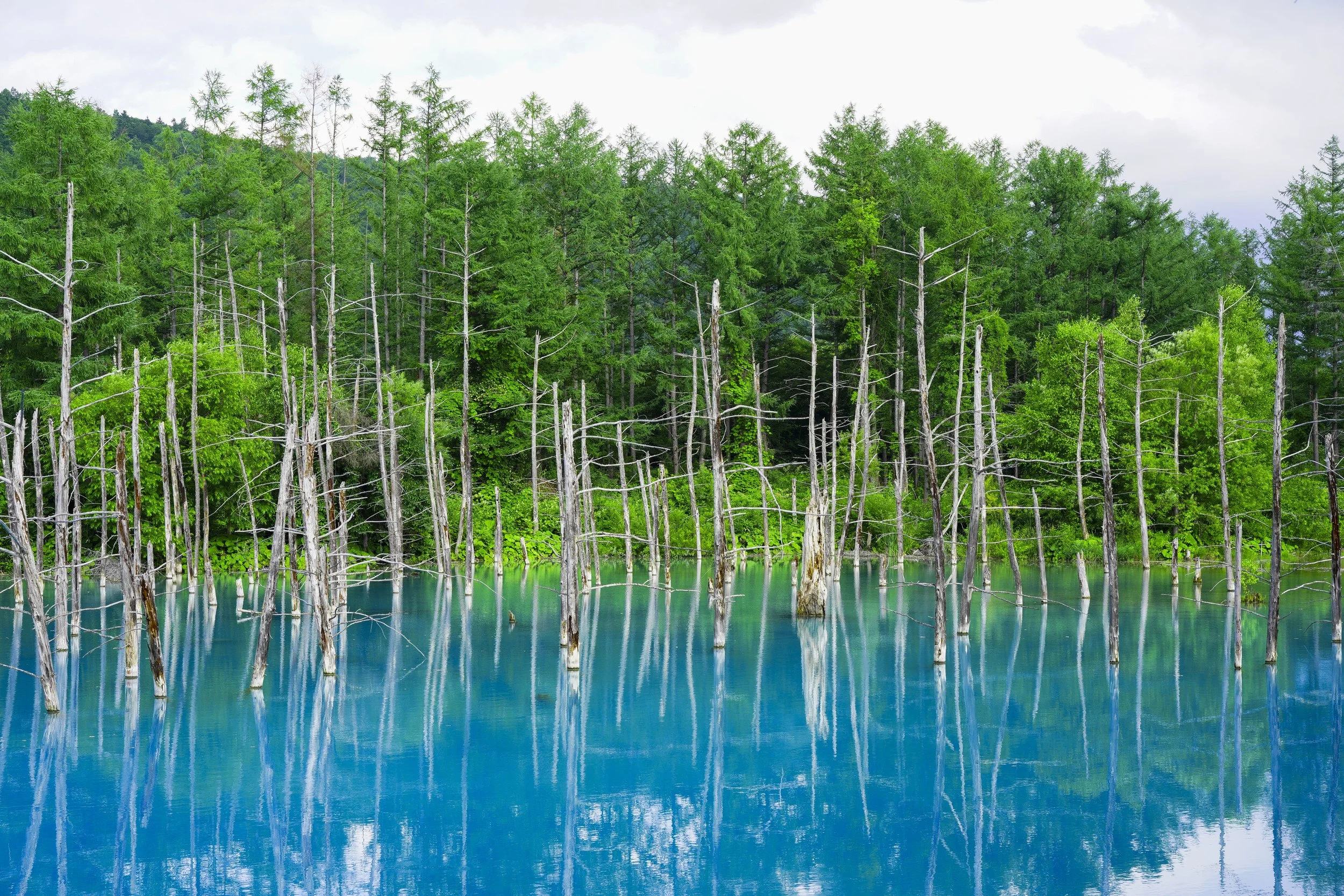 Biei, Hokkaido, Japan, 2019