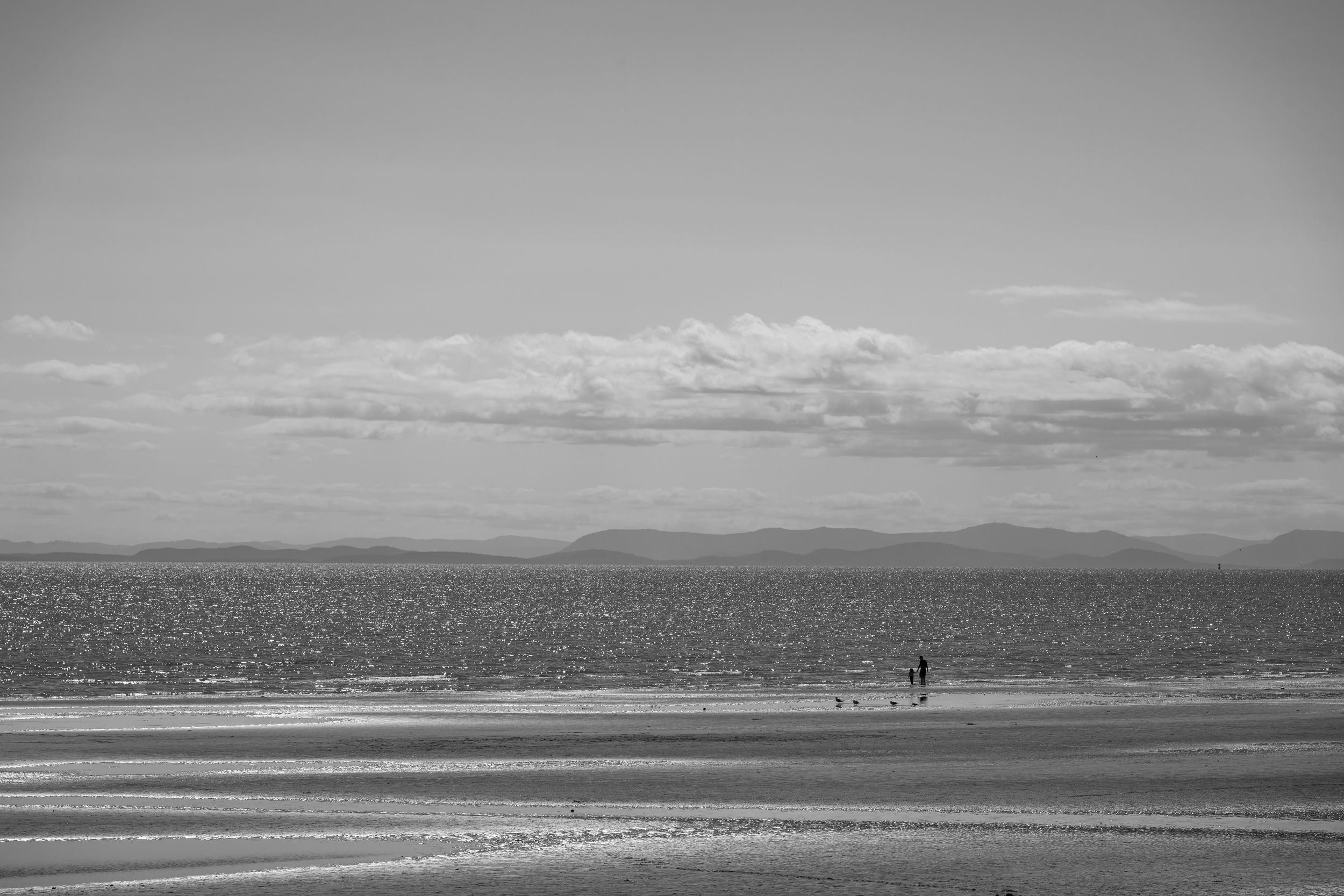 CFD Vancouver 2025 16.png