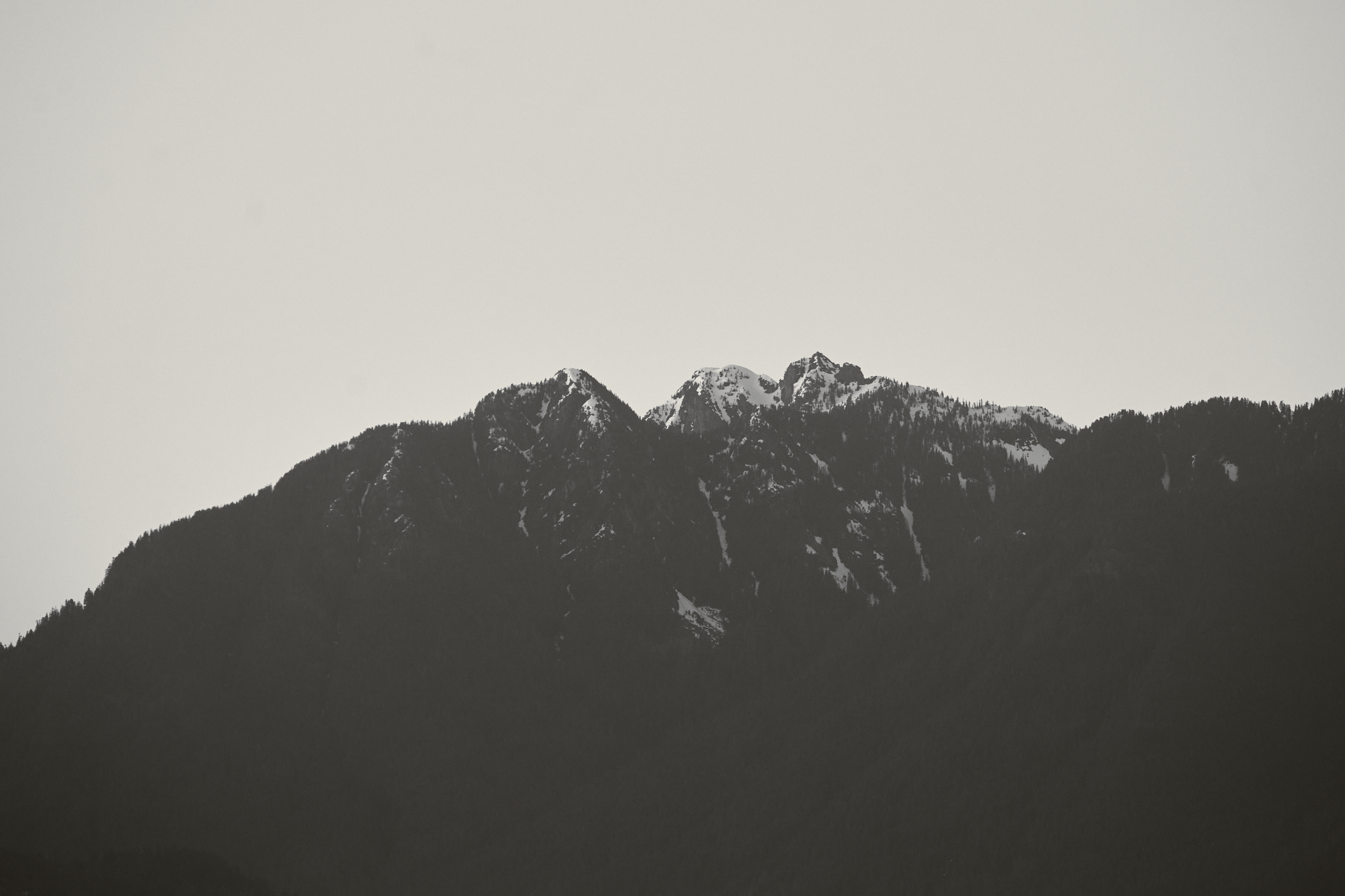 CFD Vancouver 2023 8 BW.png