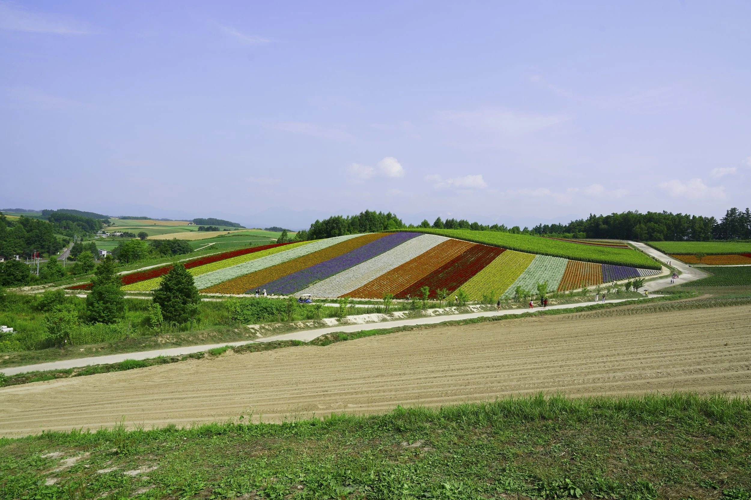 Biei, Hokkaido, Japan, 2019