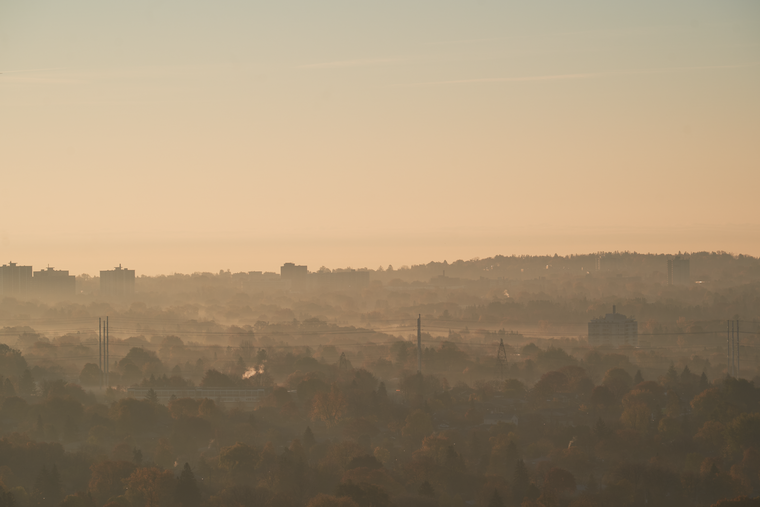 CFD Toronto 2022 9.png