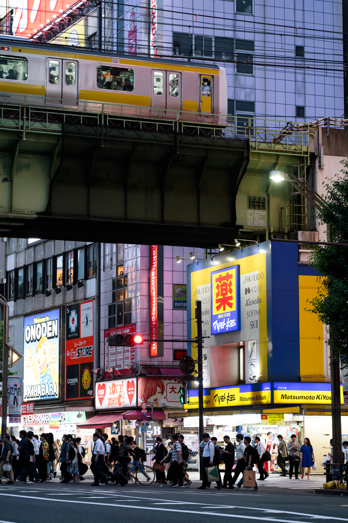 CFD Tokyo 2024 4.png