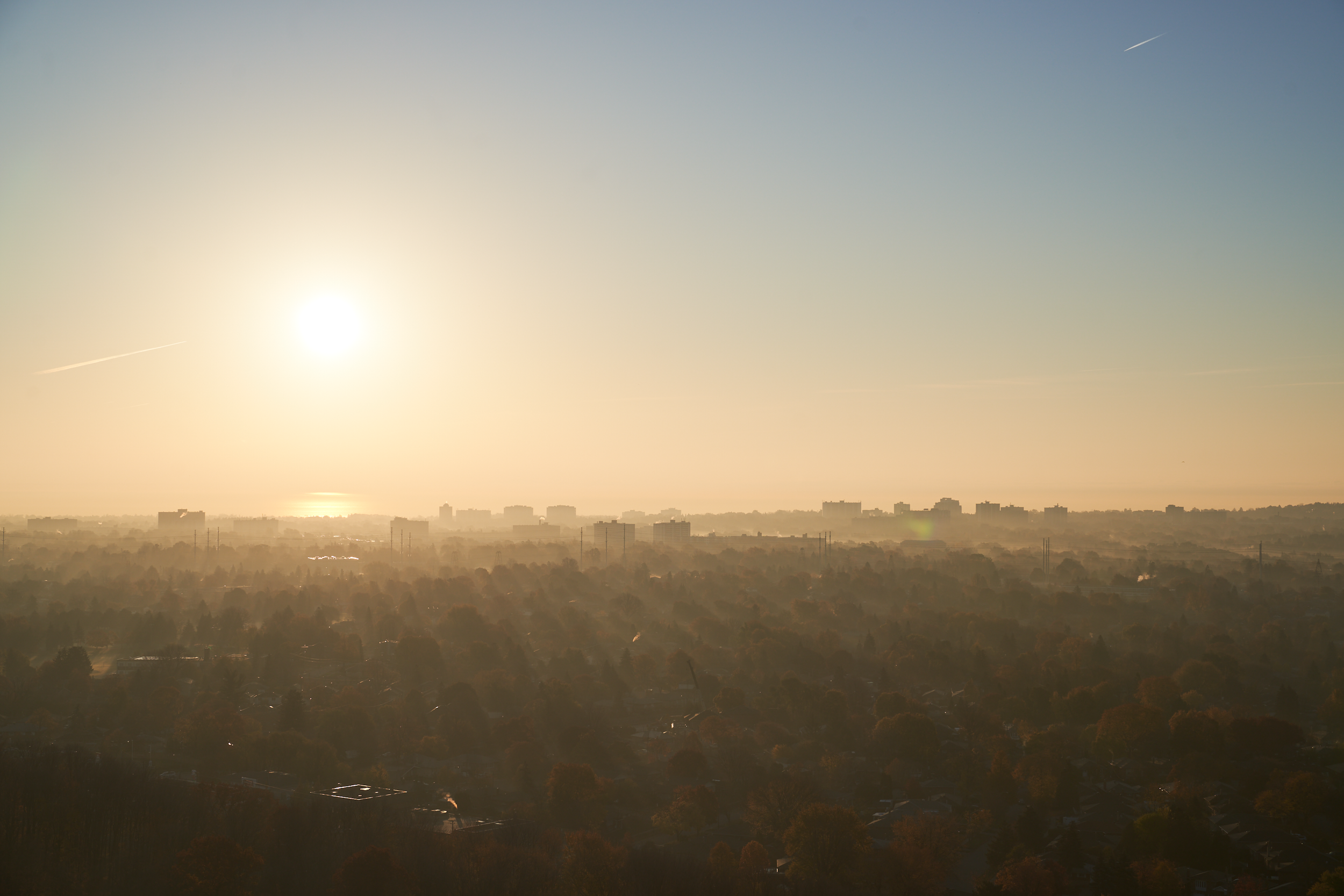 CFD Toronto 2022 7.png