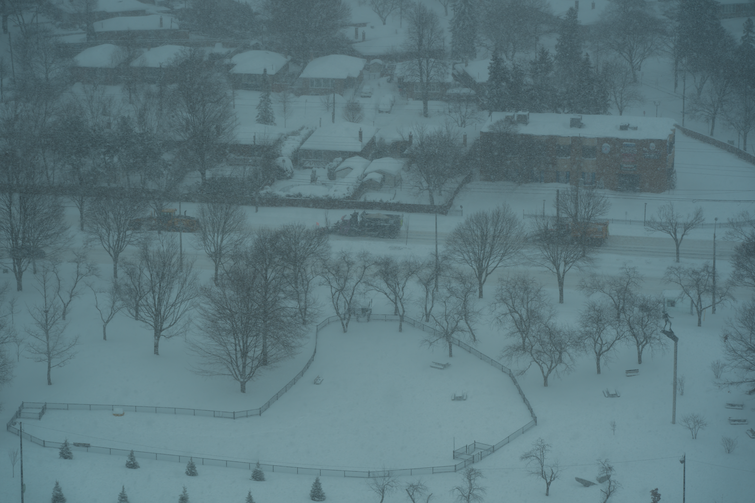 CFD Toronto 2025 9.png