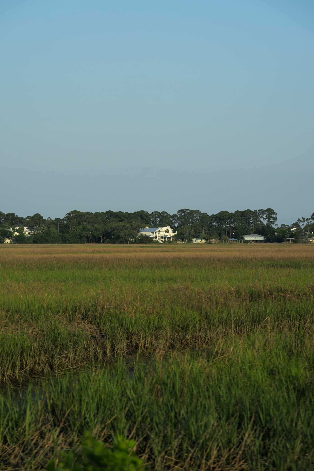 CFD Georgia 2025 7.png